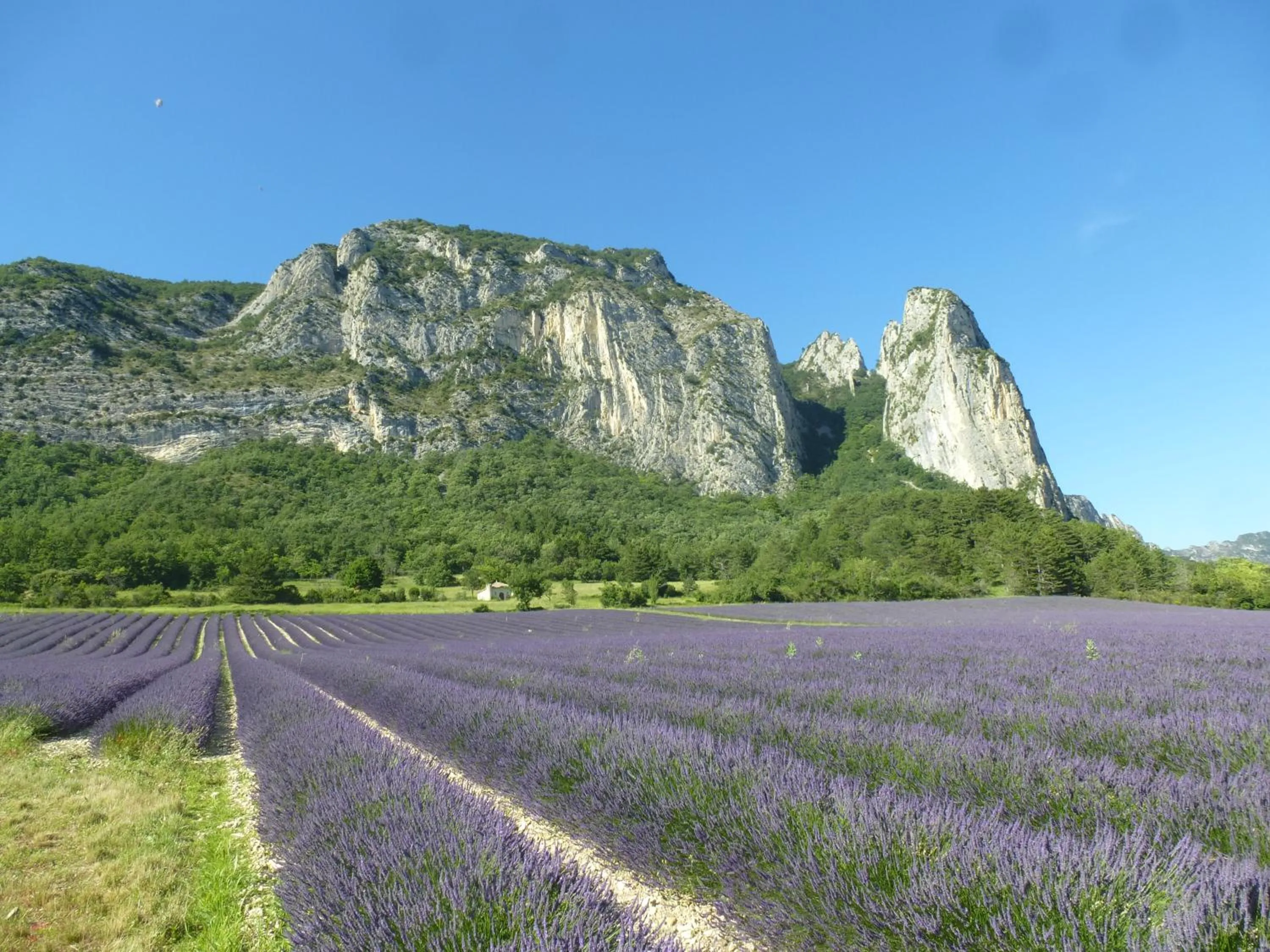 Natural landscape in tempepailla