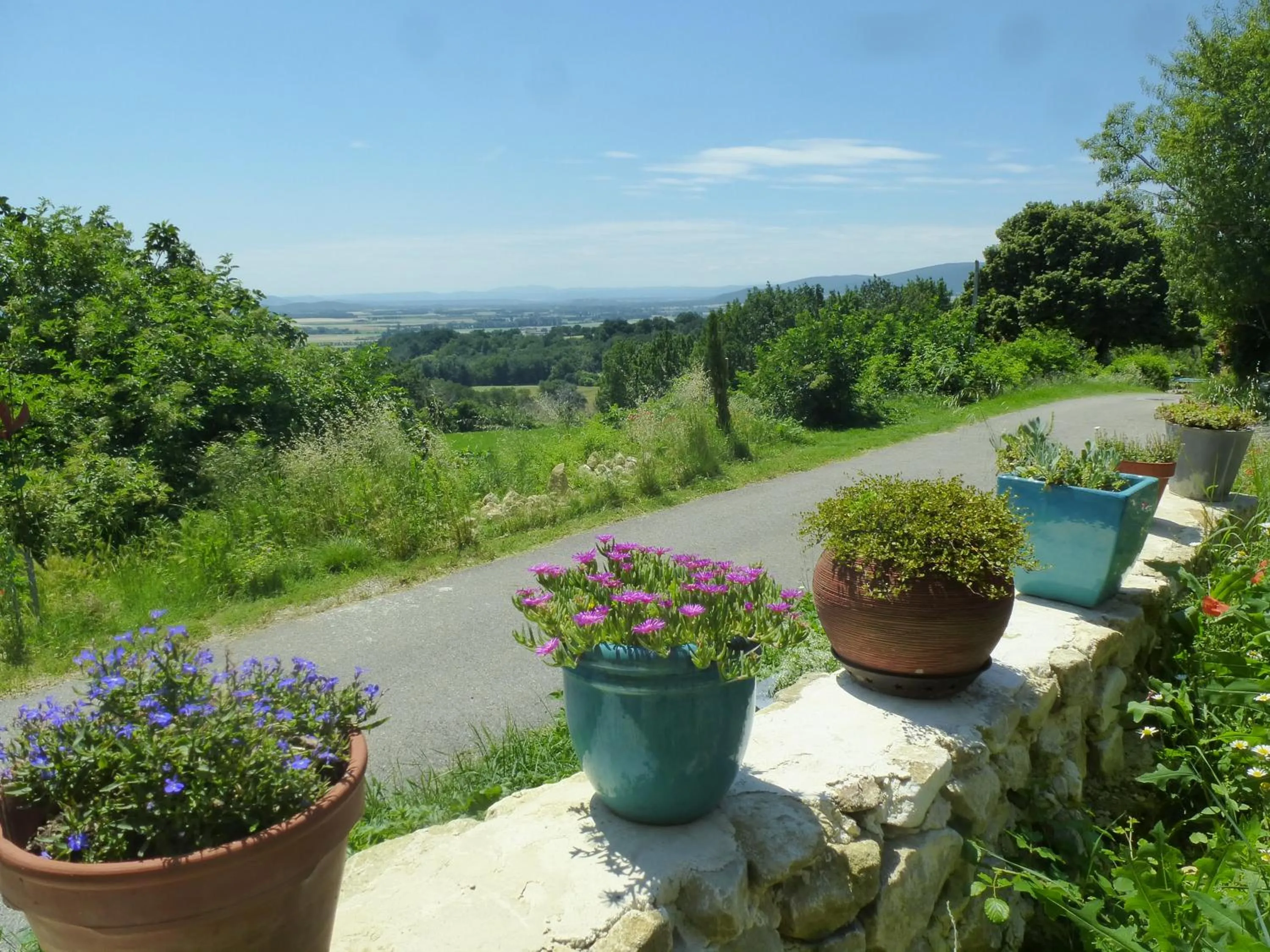 Mountain view in tempepailla