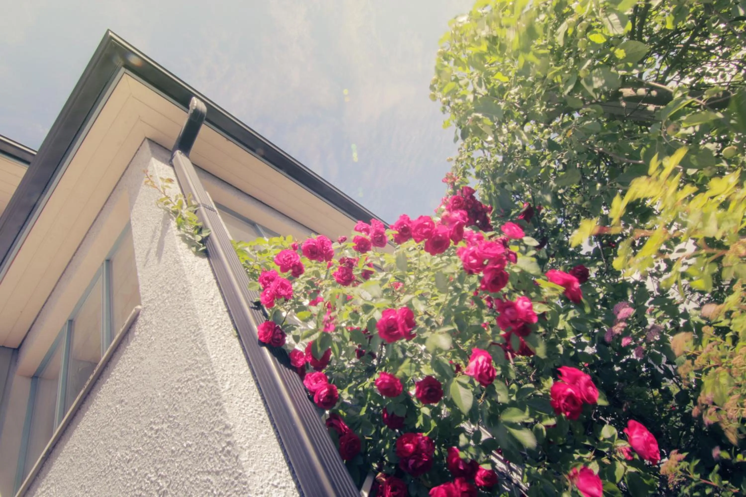 Facade/entrance in Apartment Hotel Kuukkarin Kortteeri
