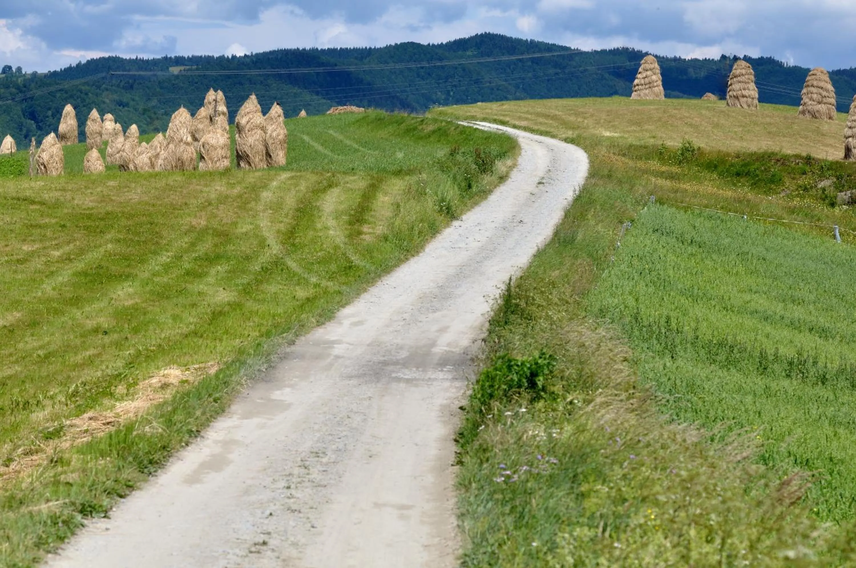 Other in Hotel Perła Południa
