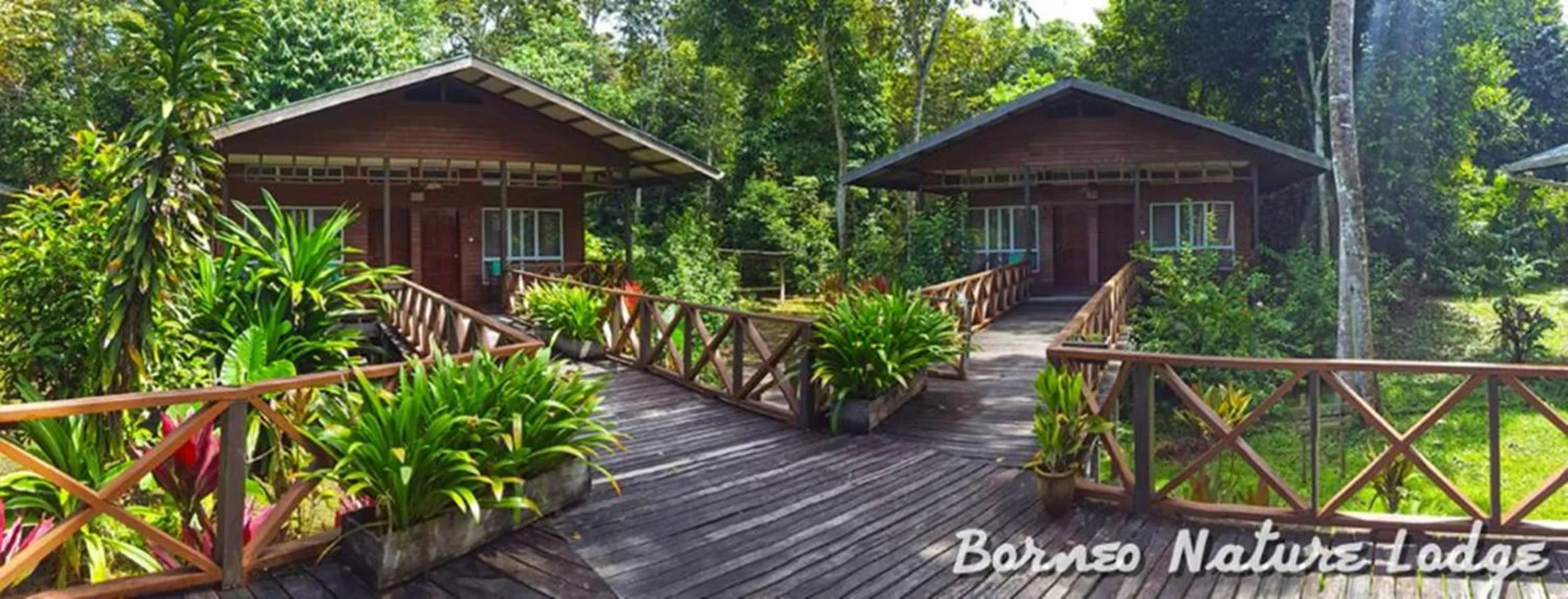 Garden view in Borneo Nature Lodge