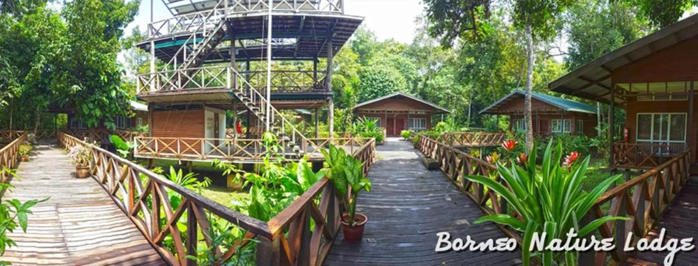 Natural landscape in Borneo Nature Lodge
