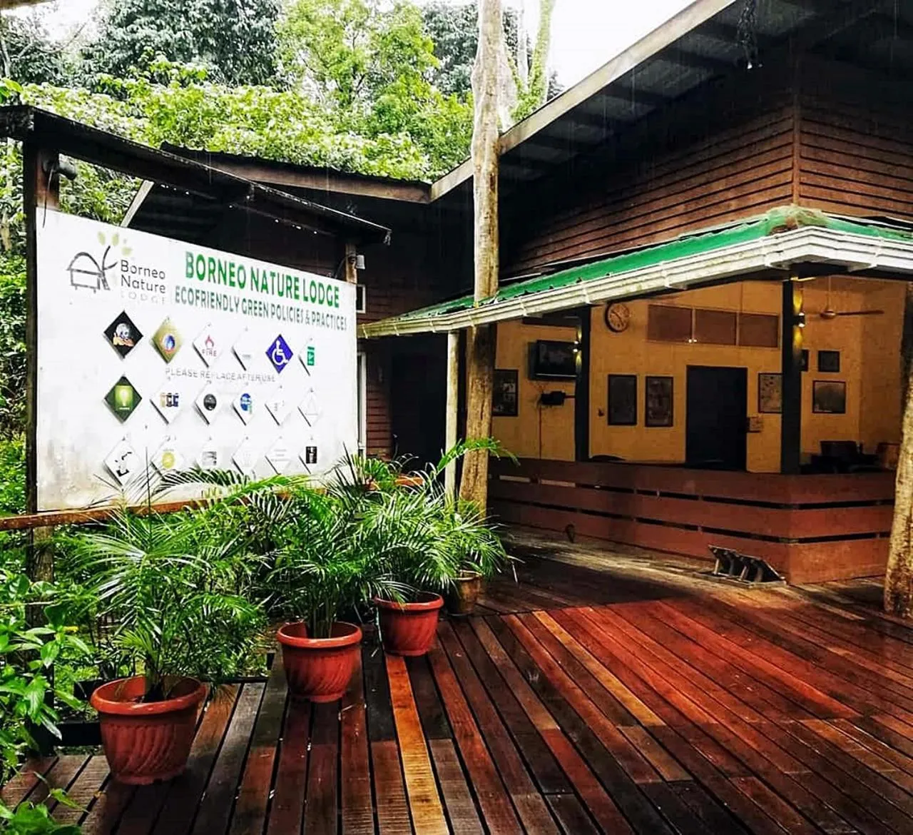 Day in Borneo Nature Lodge