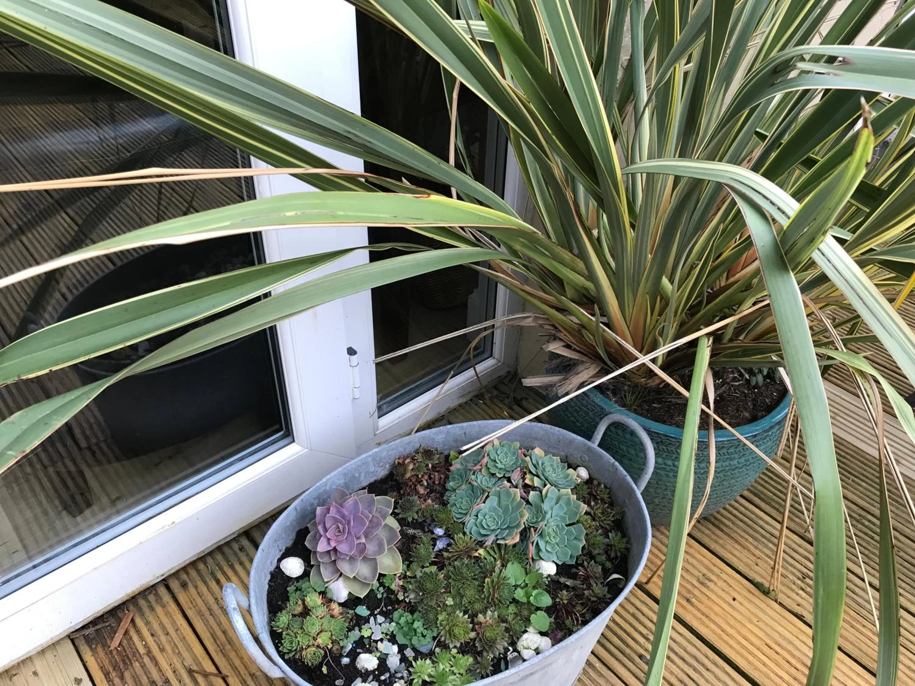 Balcony/Terrace in ByTheSea Guest House License SA-00247-F