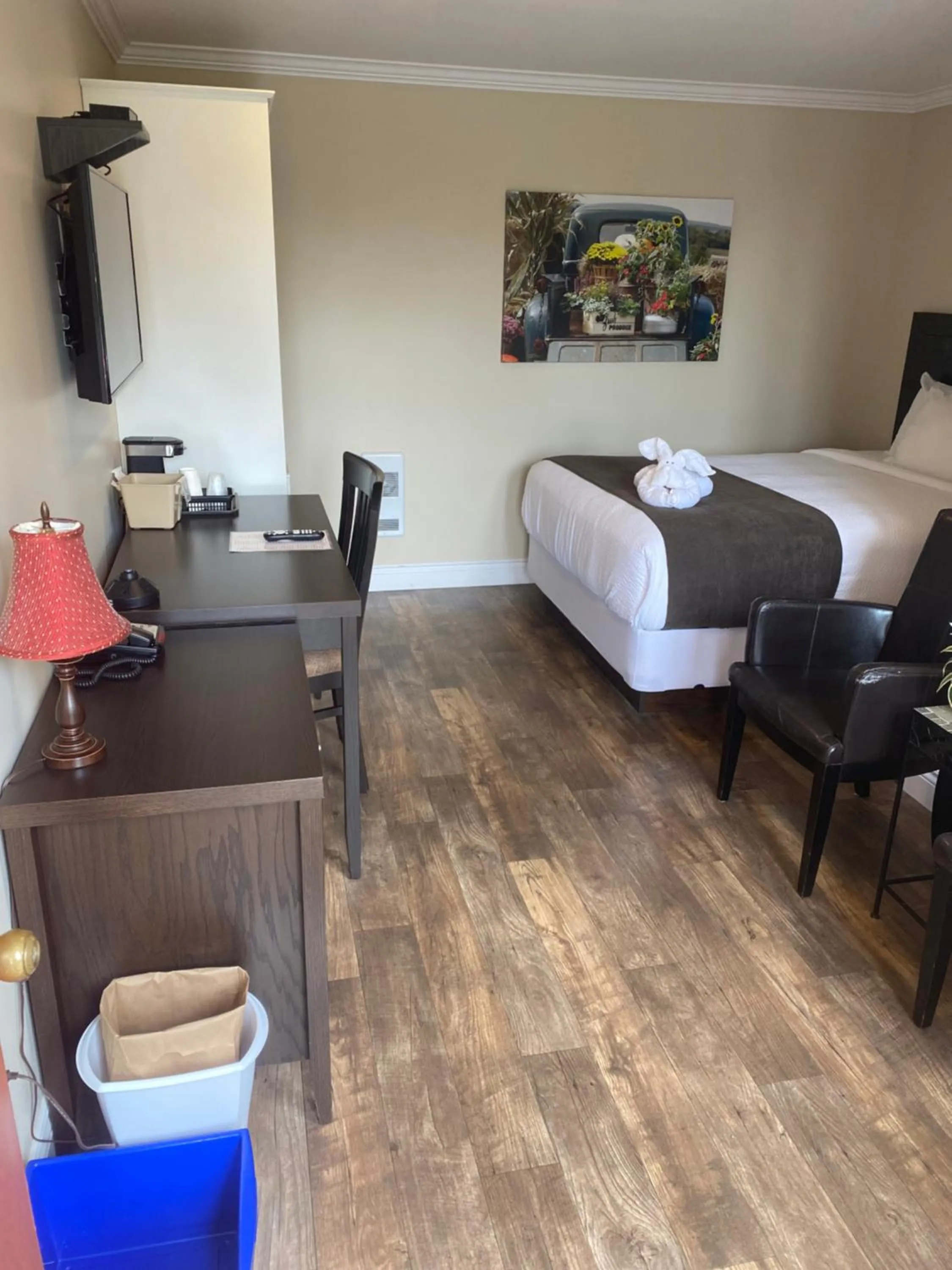 Bed in Sunny Isle Motel