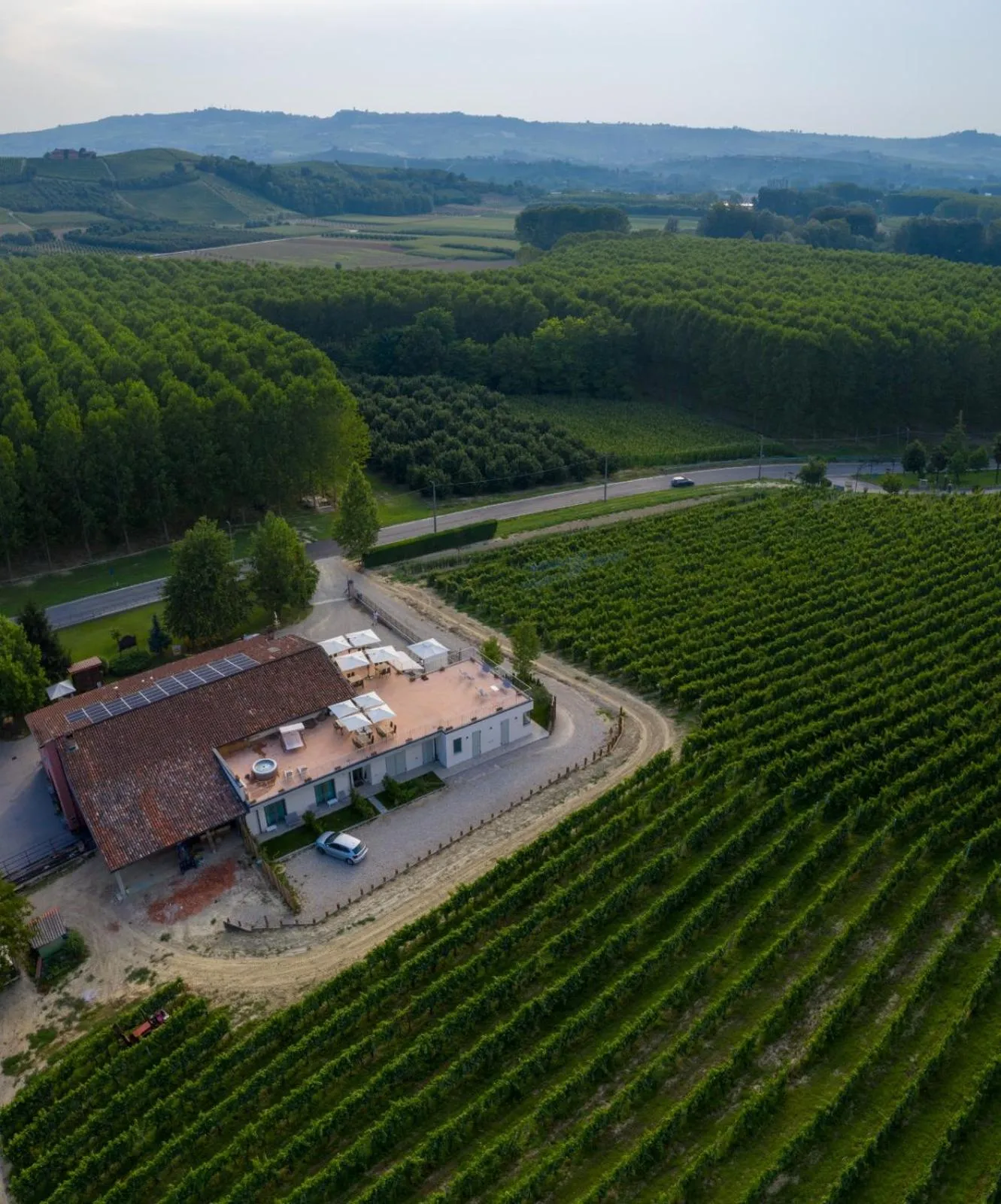 Vitae di Langa