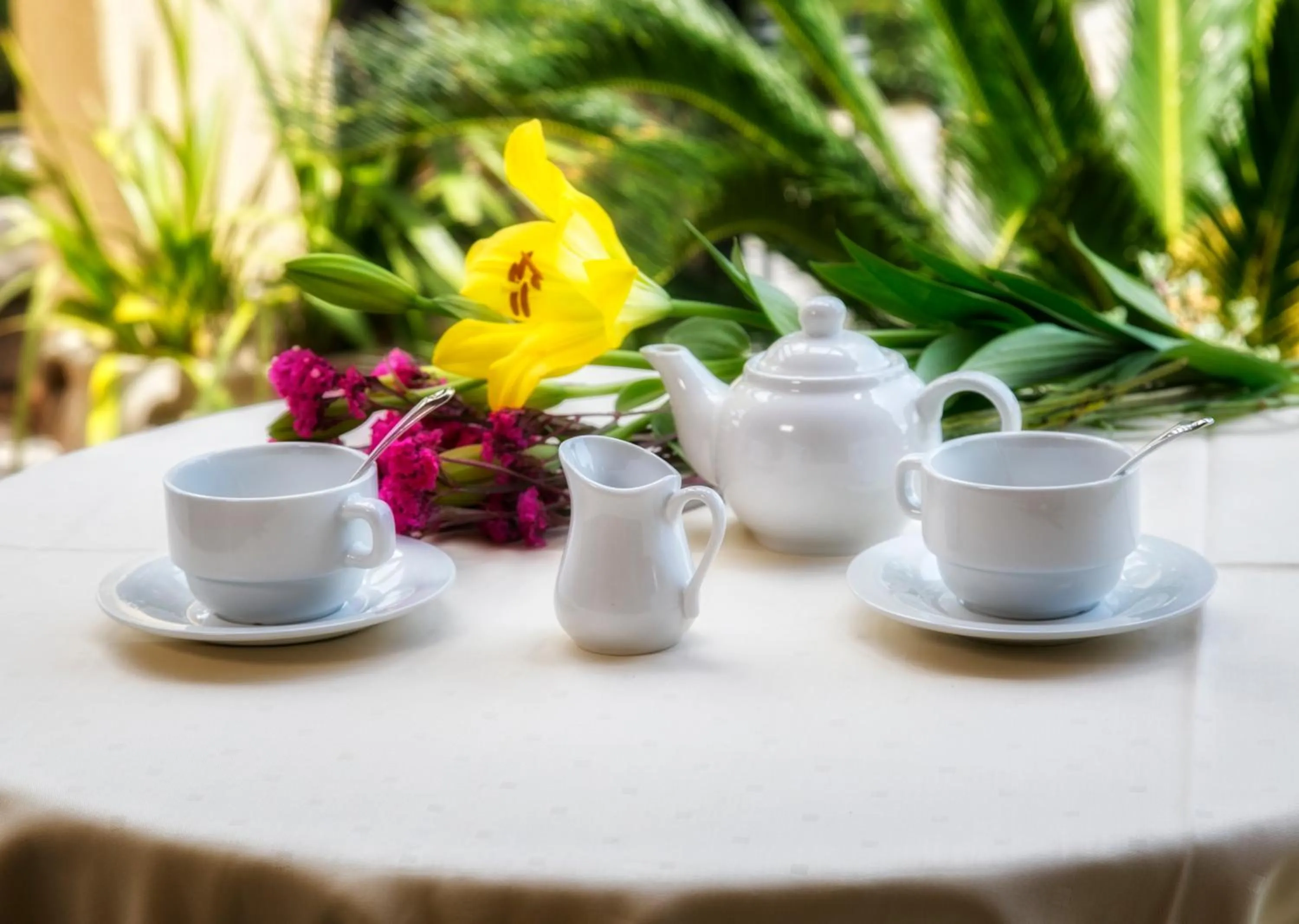 Drinks in Hotel Sa Suergia