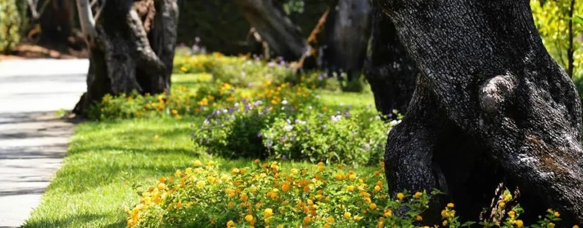 Property building in Villaggio Blue Marine