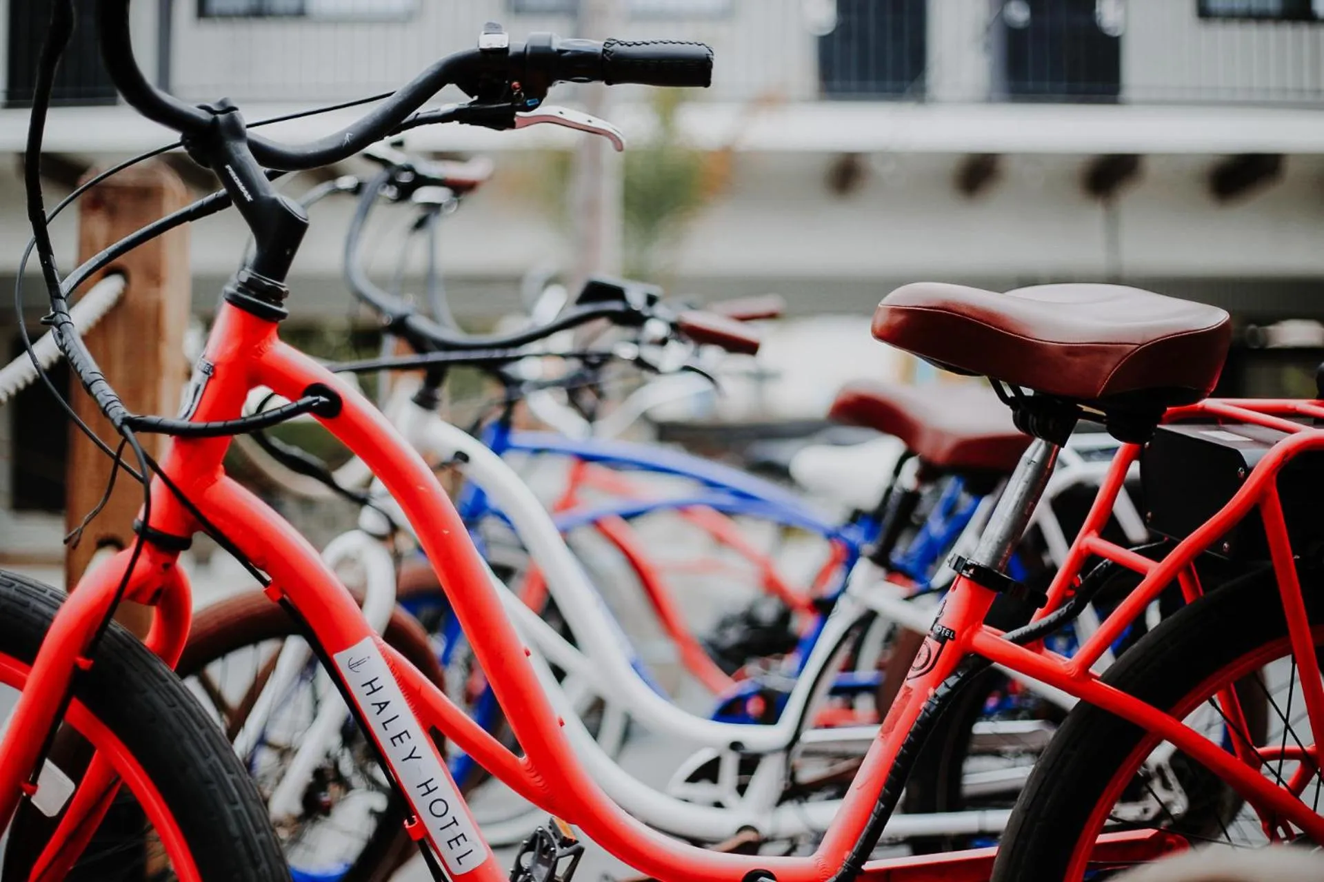 Cycling in Haley Hotel