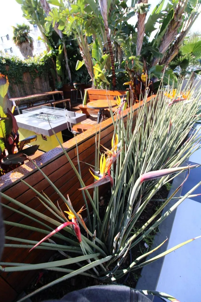 Garden in Haley Hotel