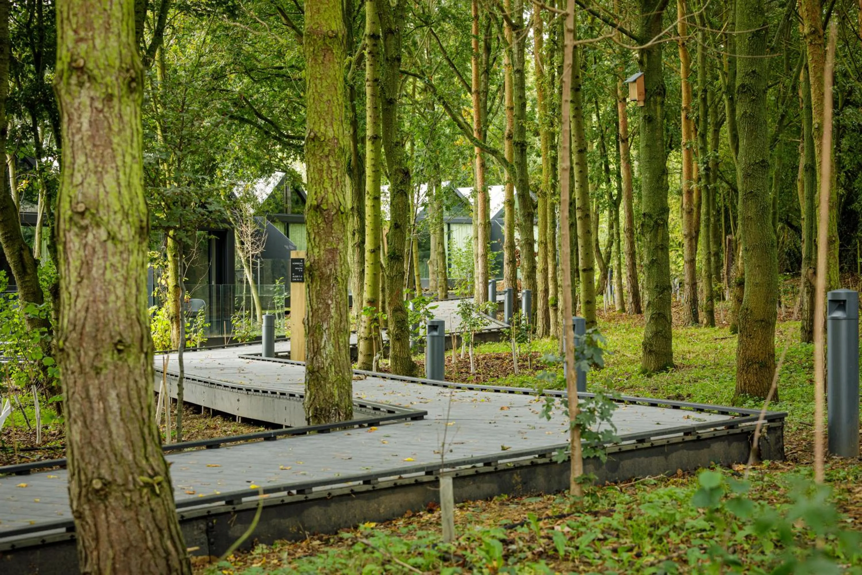 Natural landscape in Feldon Valley