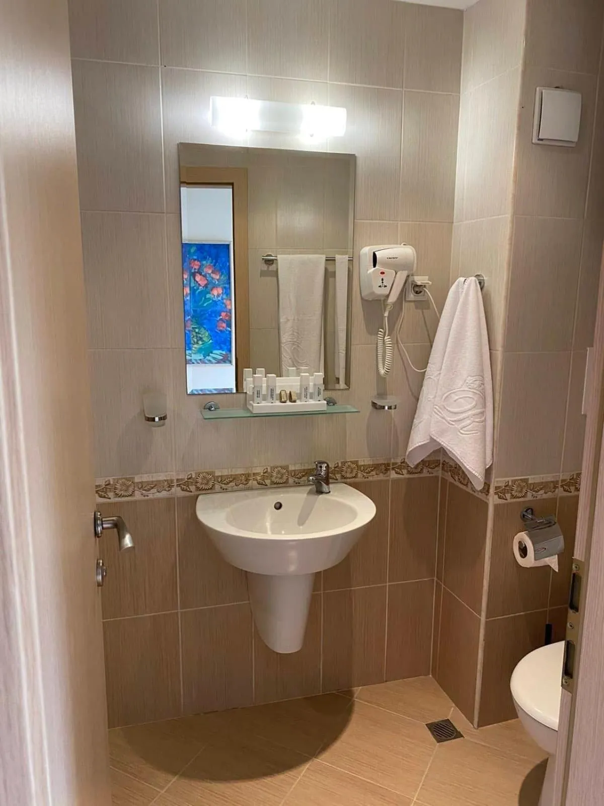 Toilet in Royal Bay Resort & Aqua Park - All Inclusive and Free beach accsess