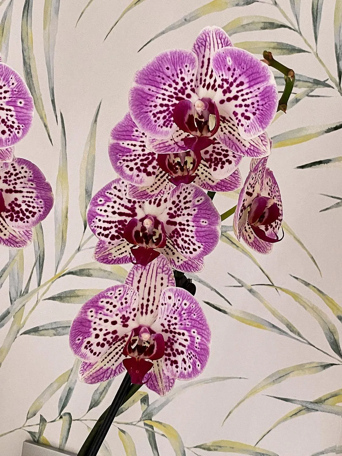 Decorative detail in Hotel Boutique Txanka Erreka PARKING INCLUIDO