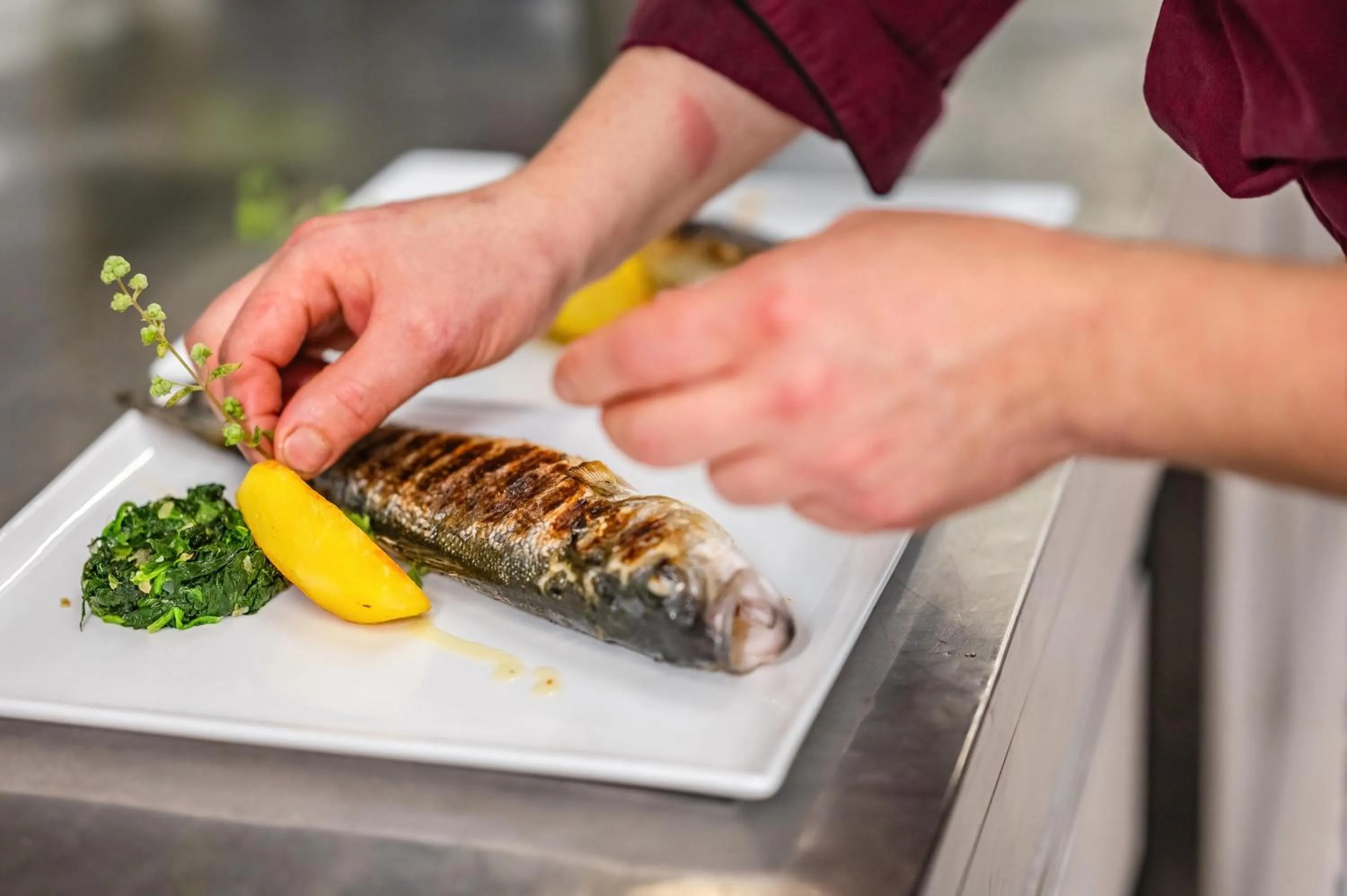 Restaurant/places to eat in Hotel Europa