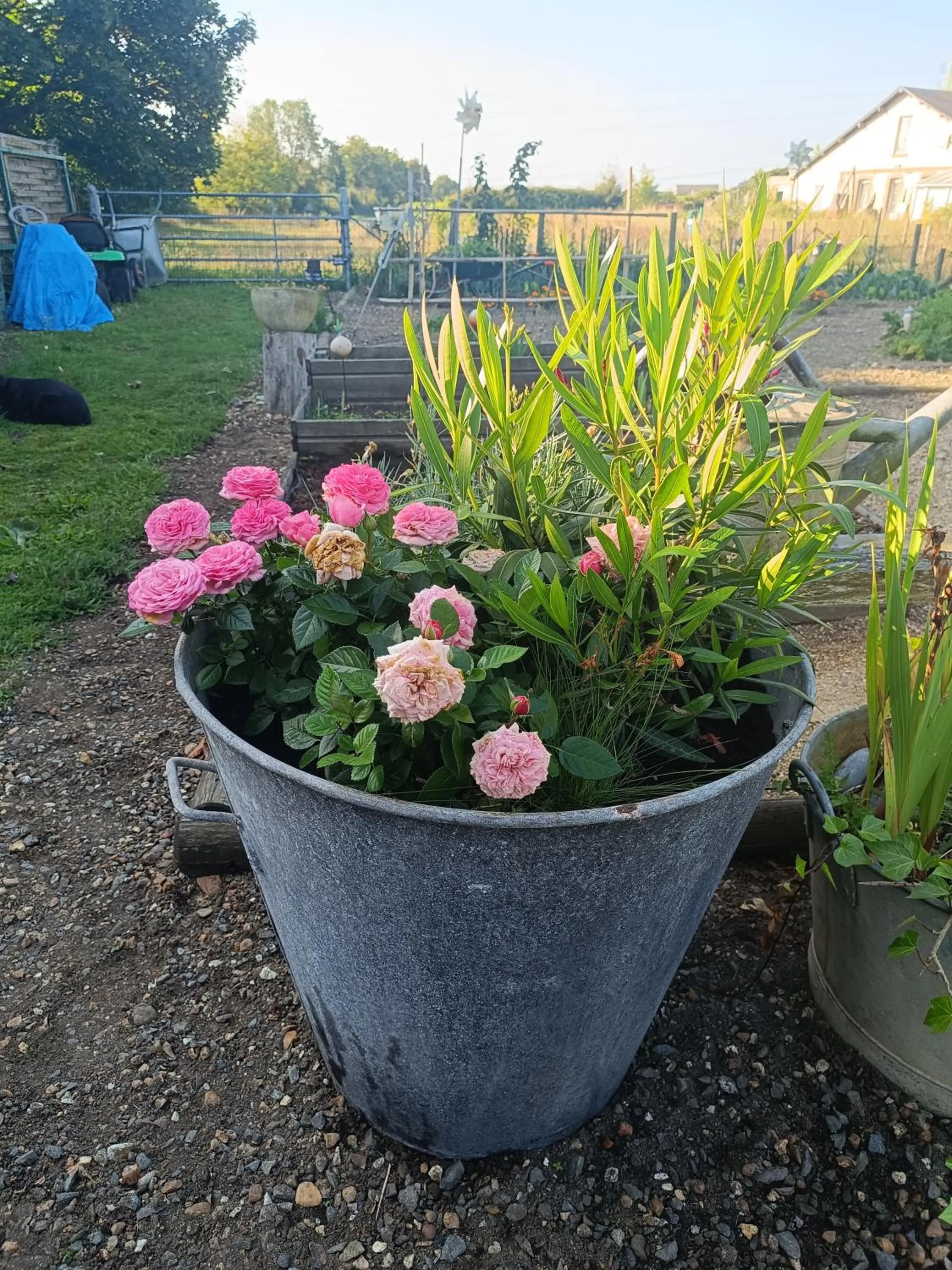 Spring in Chambres d'hotes du Port Gautier