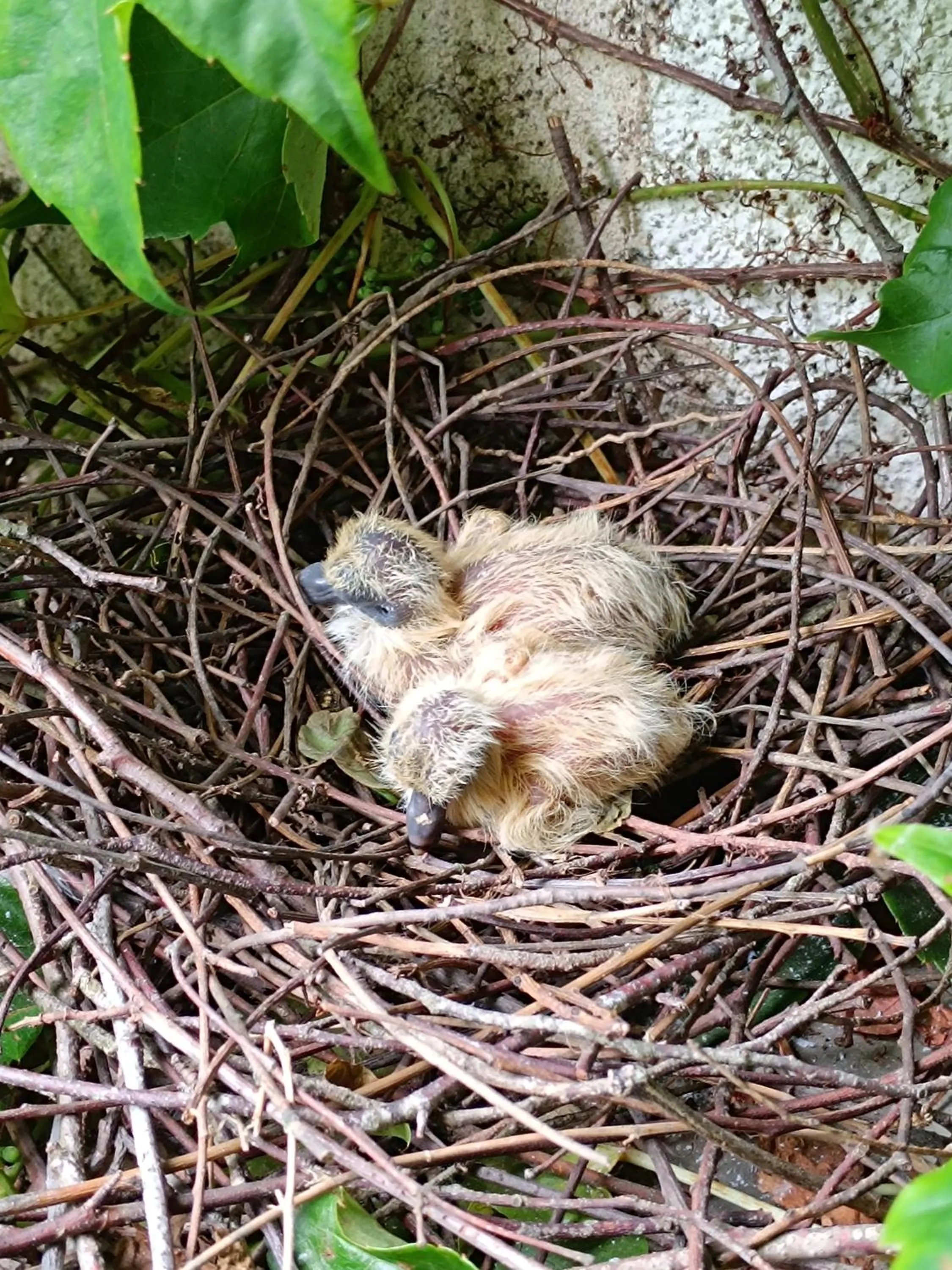 Natural landscape in Chambres d'hotes du Port Gautier
