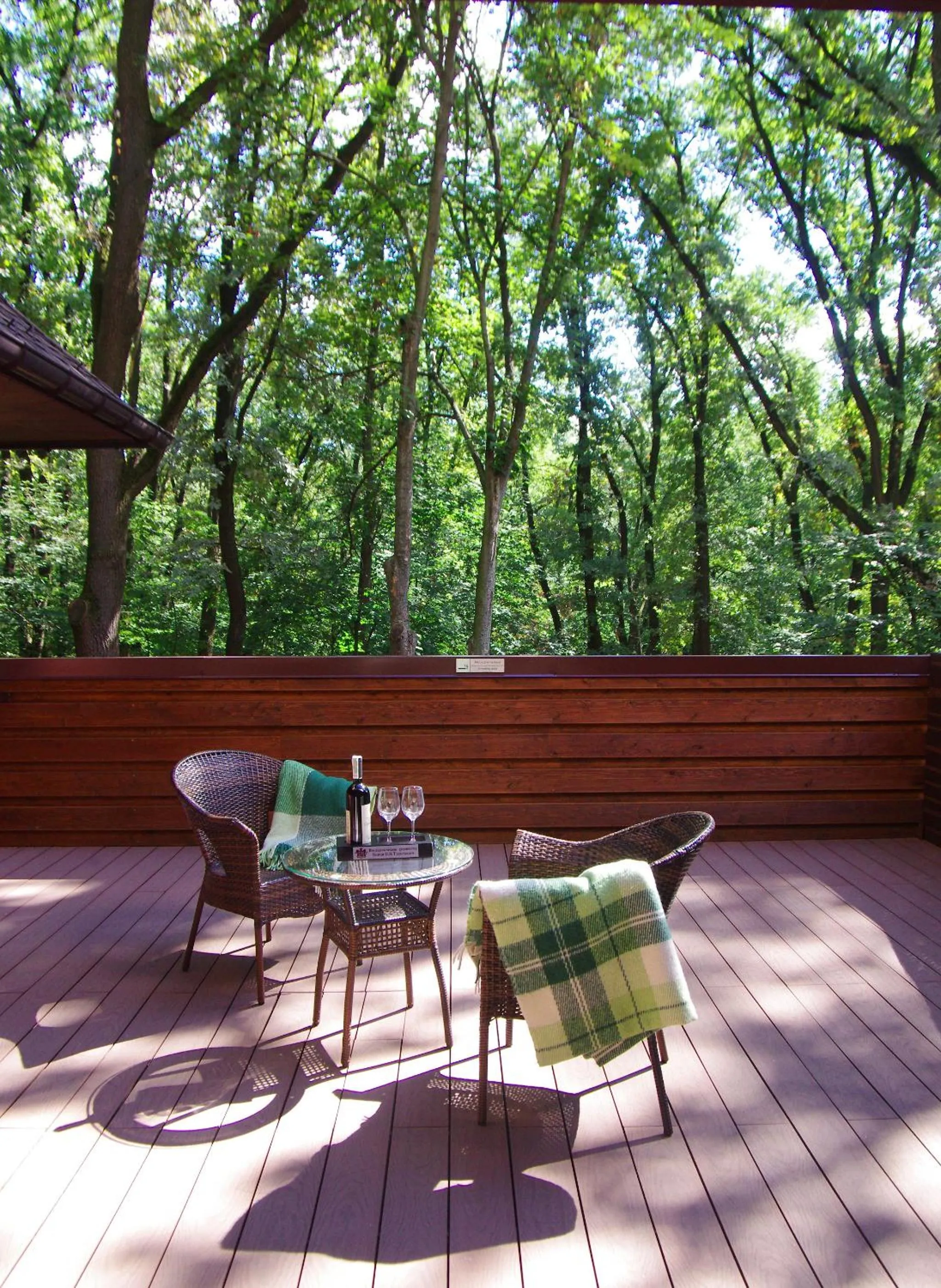 Balcony/Terrace in Park-Hotel Golosievo
