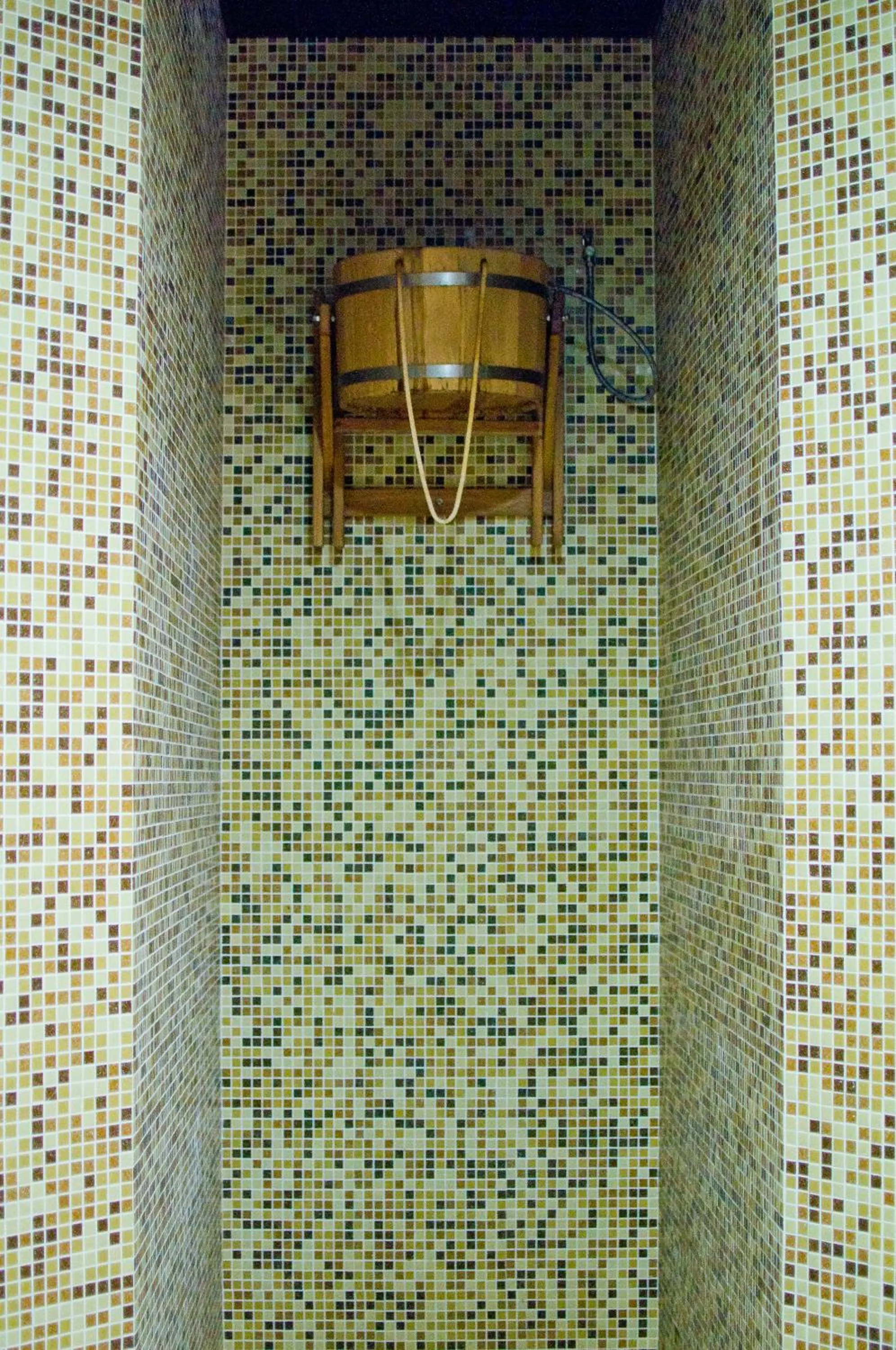 Spa and wellness centre/facilities in Park-Hotel Golosievo