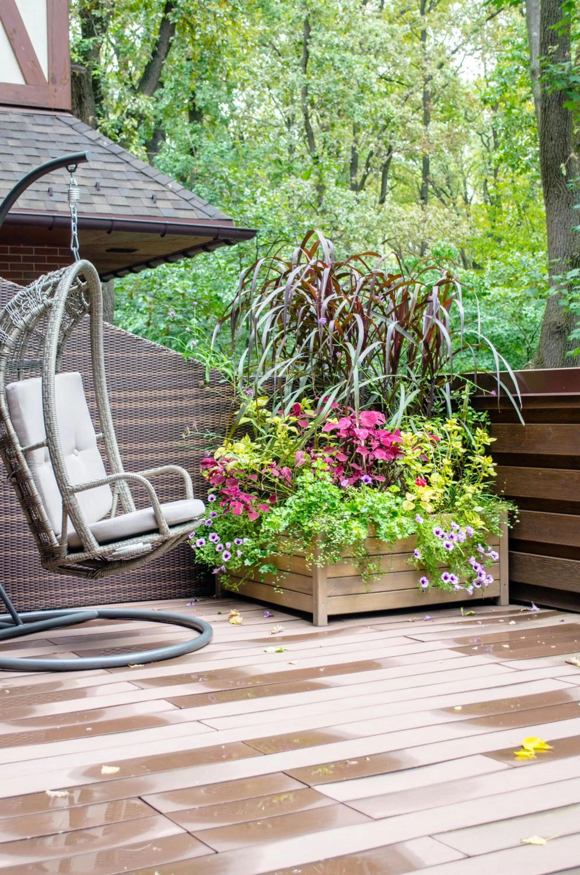Photo of the whole room in Park-Hotel Golosievo