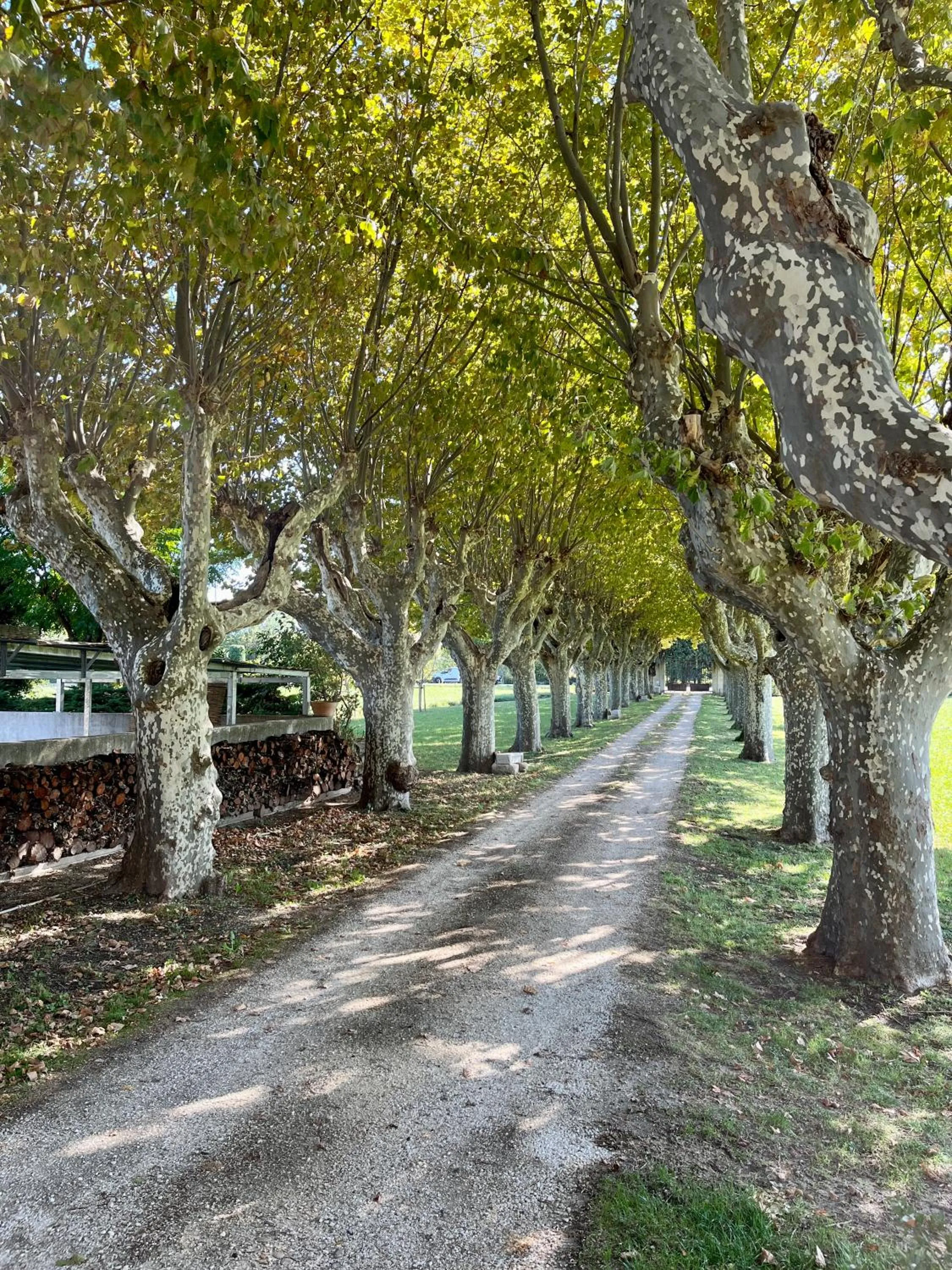 Inner courtyard view in Le Mas Saint Jacques