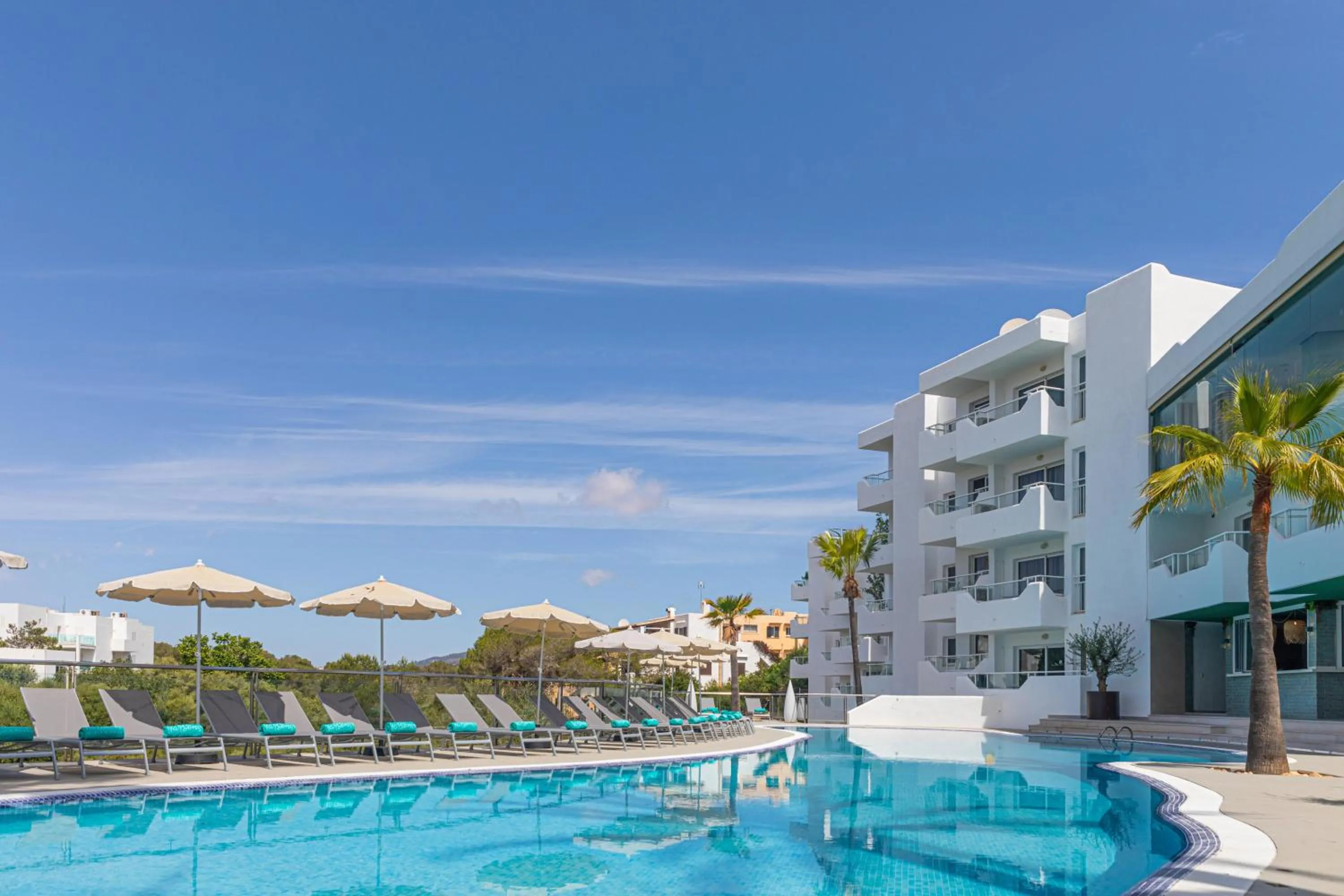 Swimming pool in MarSenses Natura Olea Hotel - Adults Only