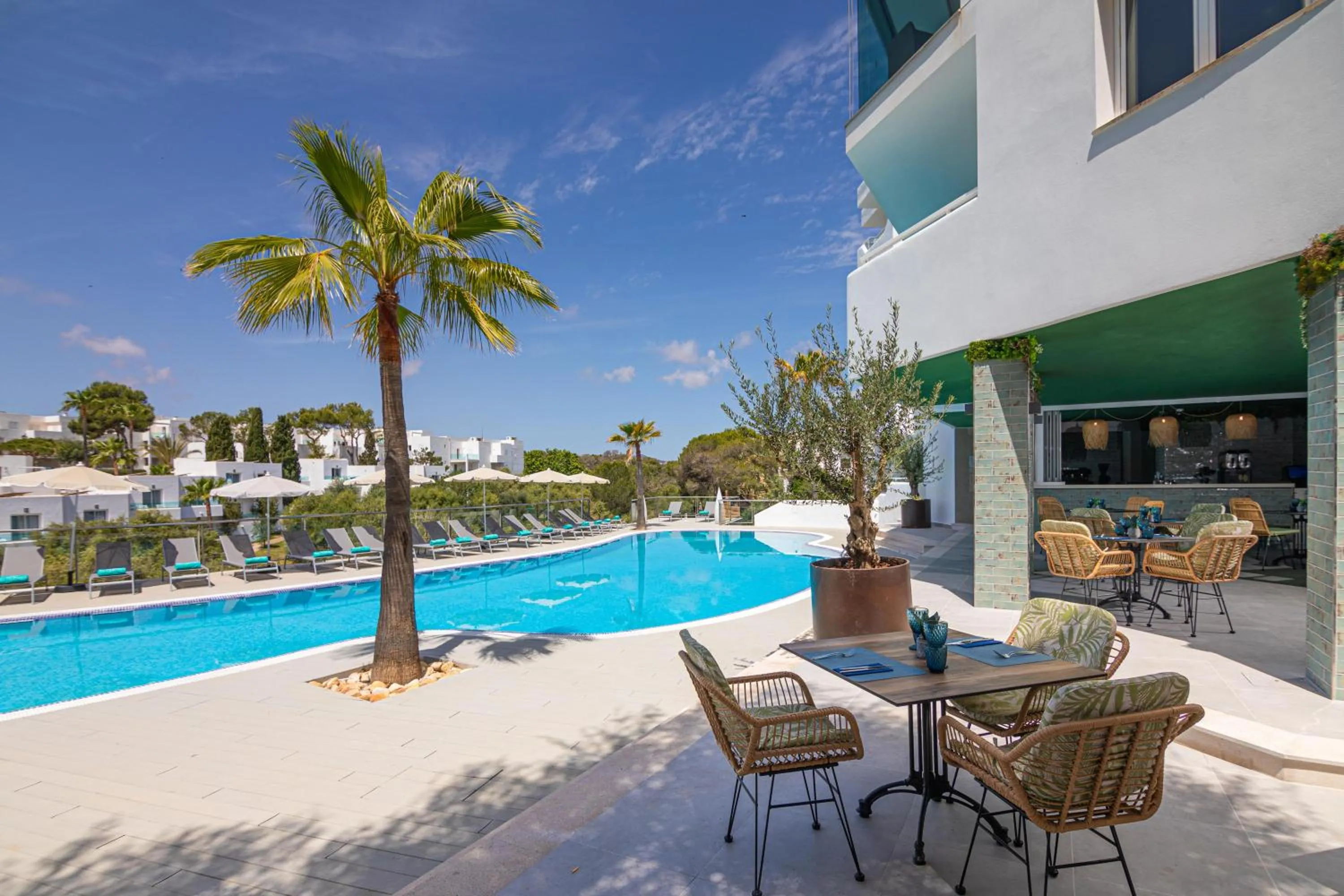 Swimming pool in MarSenses Natura Olea Hotel - Adults Only