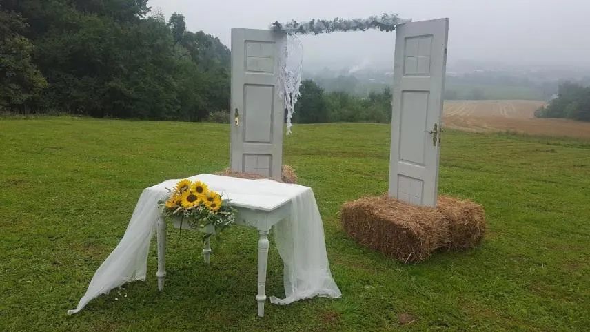 wedding in Hotel Salaš