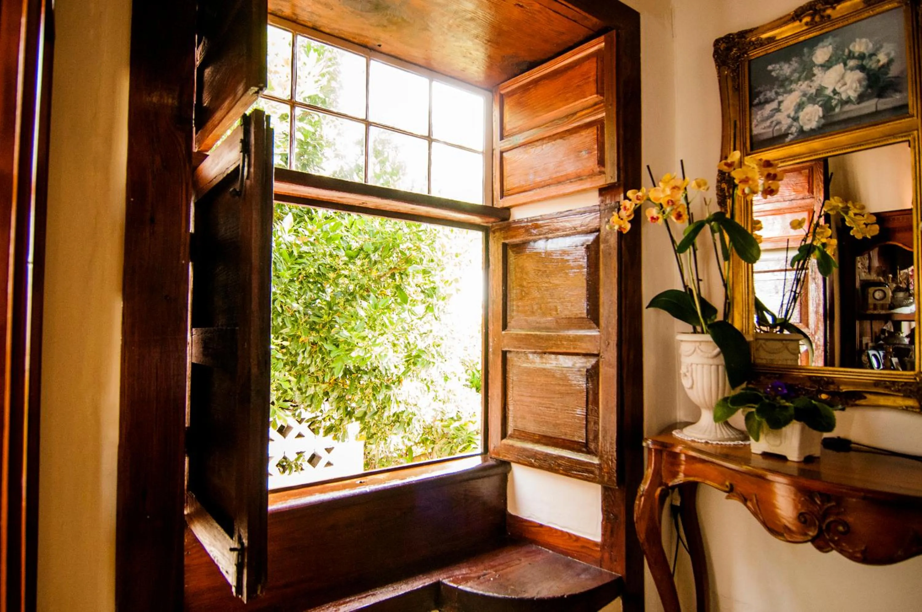 Decorative detail in Finca Arminda