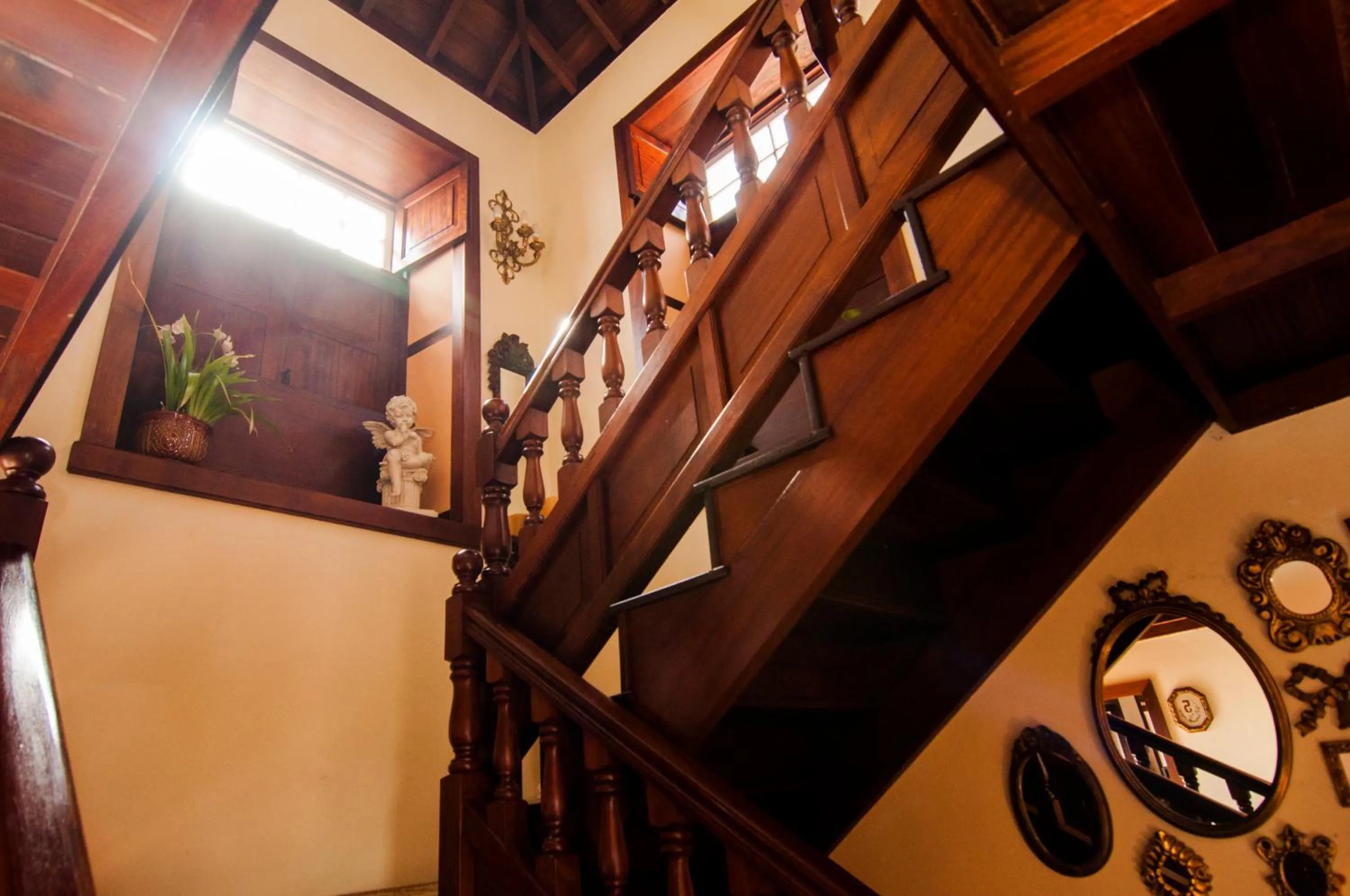 Area and facilities in Finca Arminda