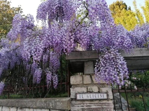 Garden in B&B Il Glicine