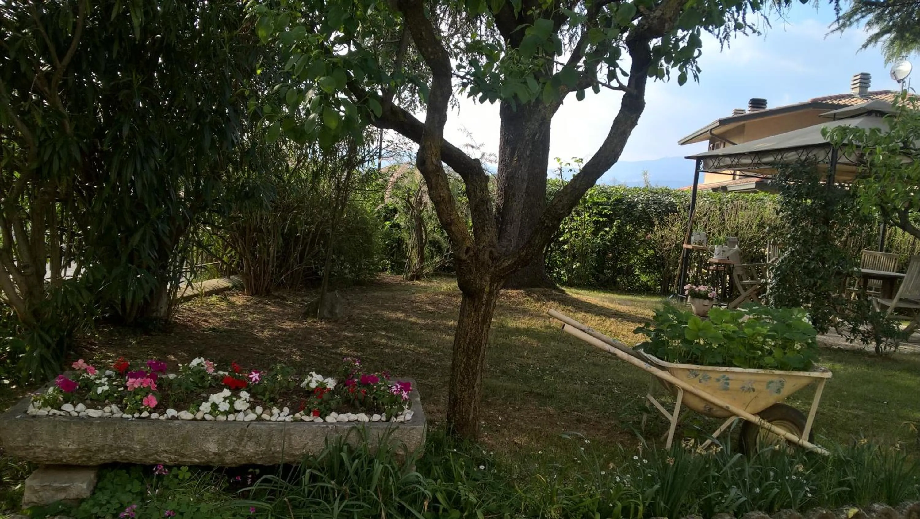 Garden in B&B Il Glicine