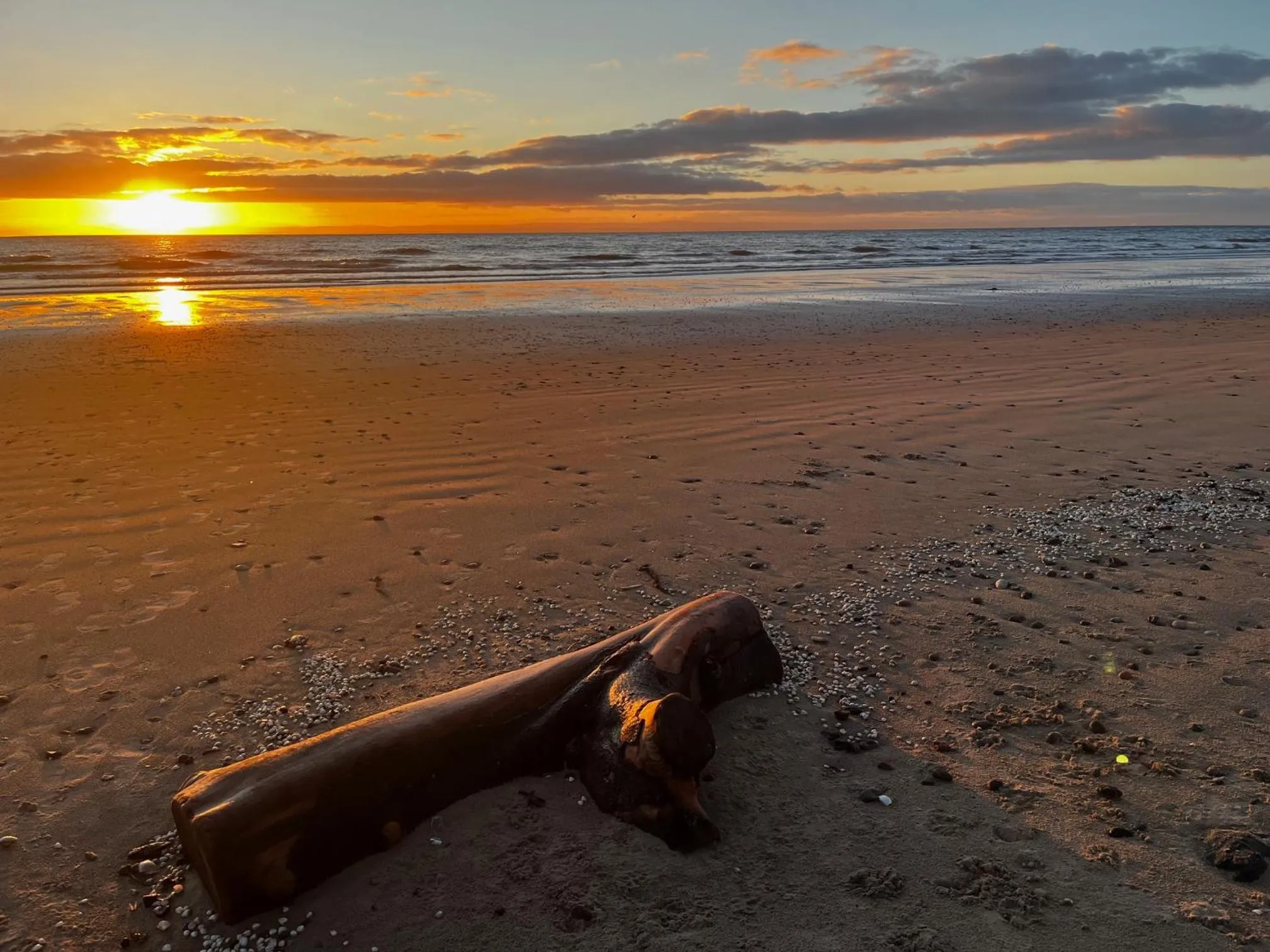 Beach in Lomond Guest House
