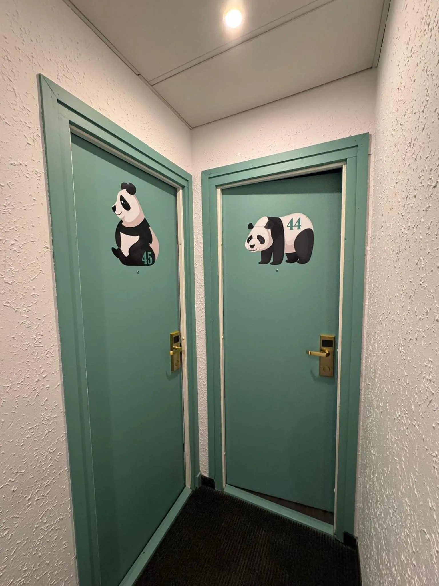 Area and facilities in Hotel Panda