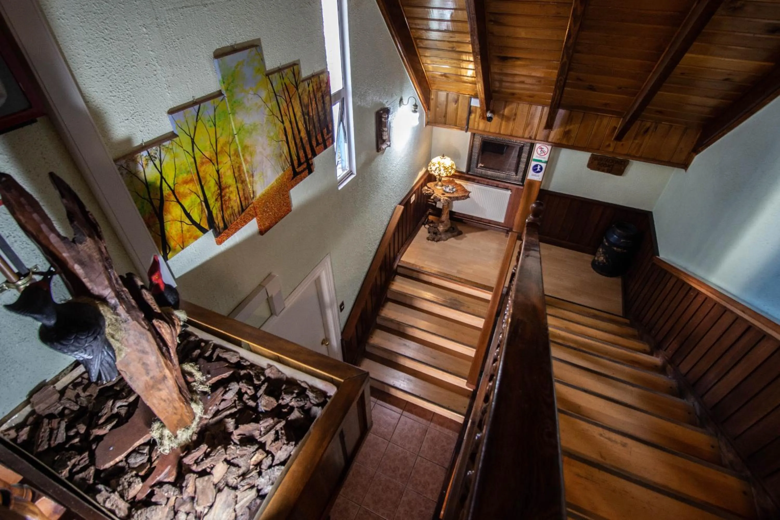 Other in Montepiedra Costanera Valdivia