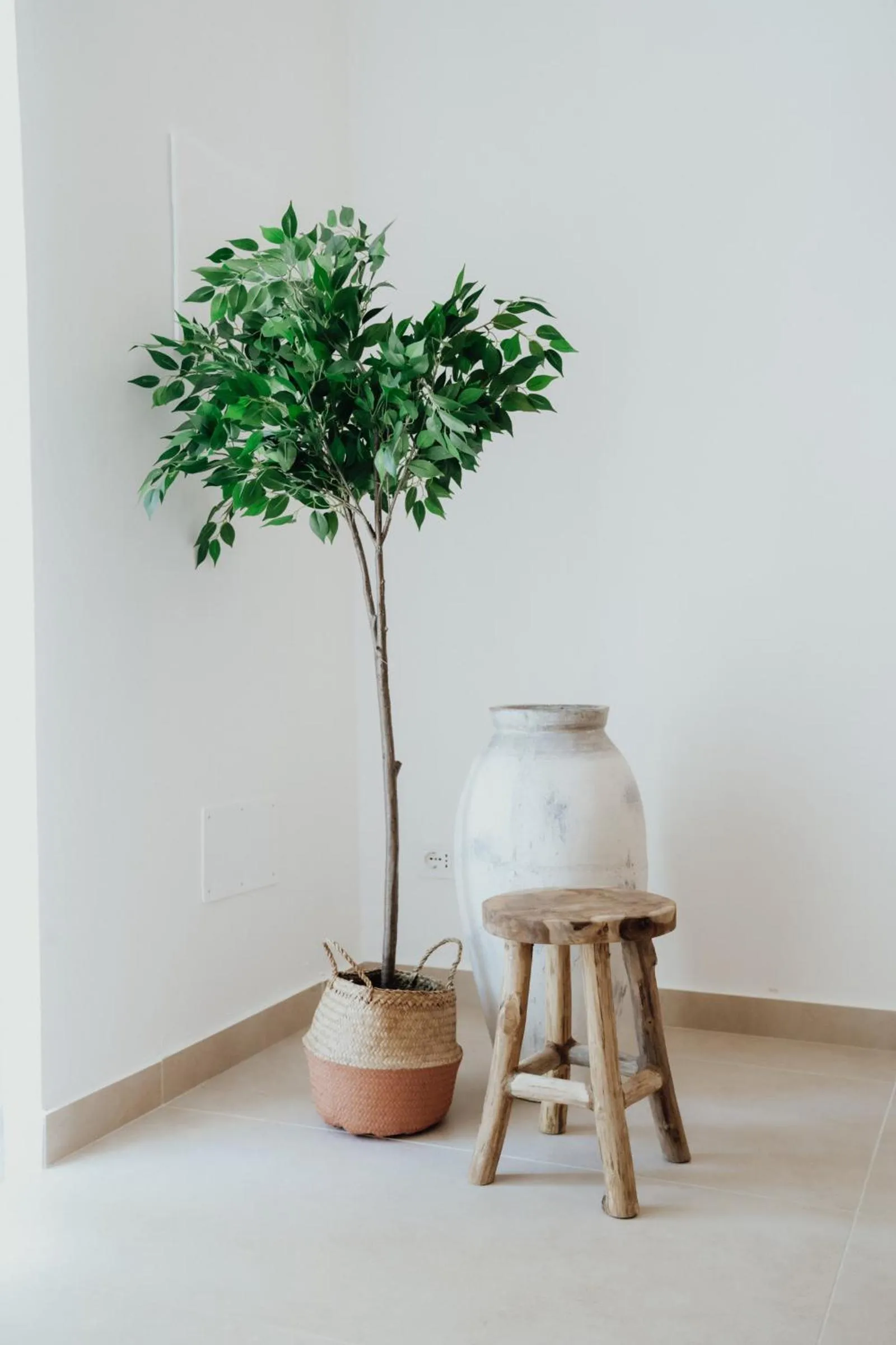 Decorative detail in Break for two