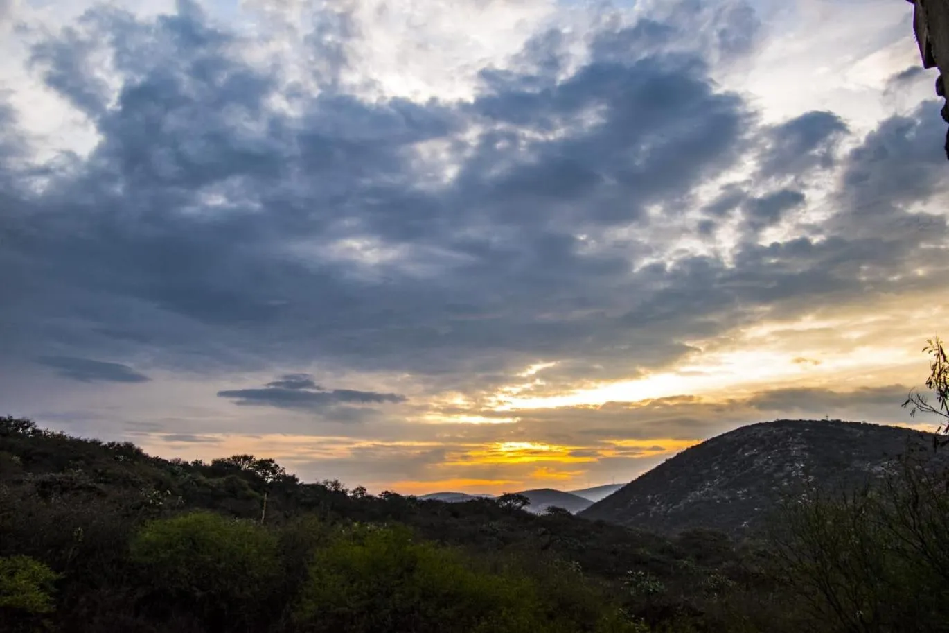 Hotel Casa del Arbol