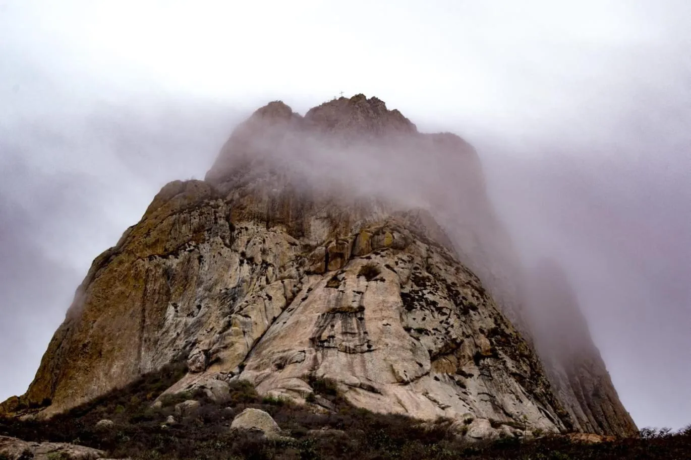 Hotel Casa del Arbol