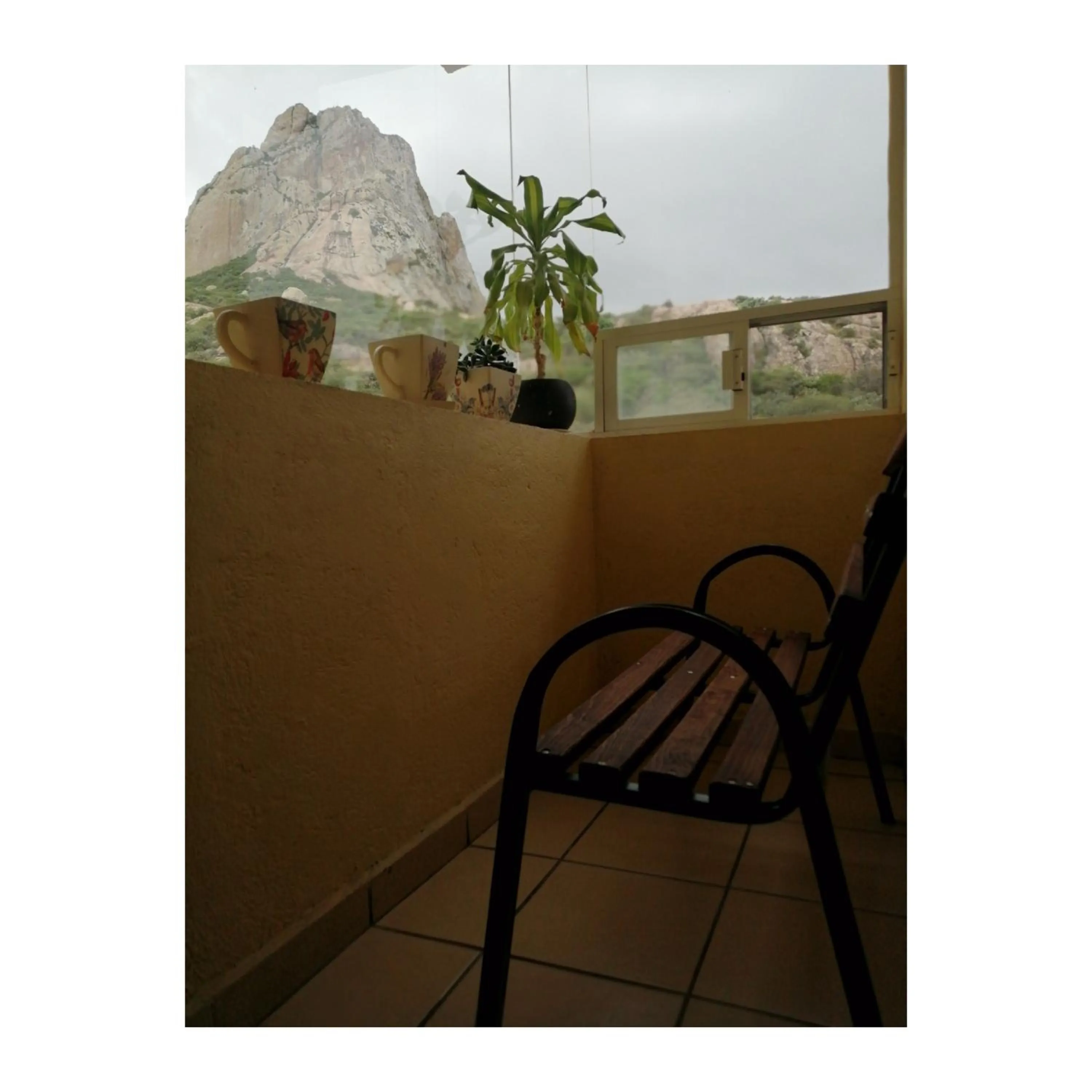 Hotel Casa del Arbol