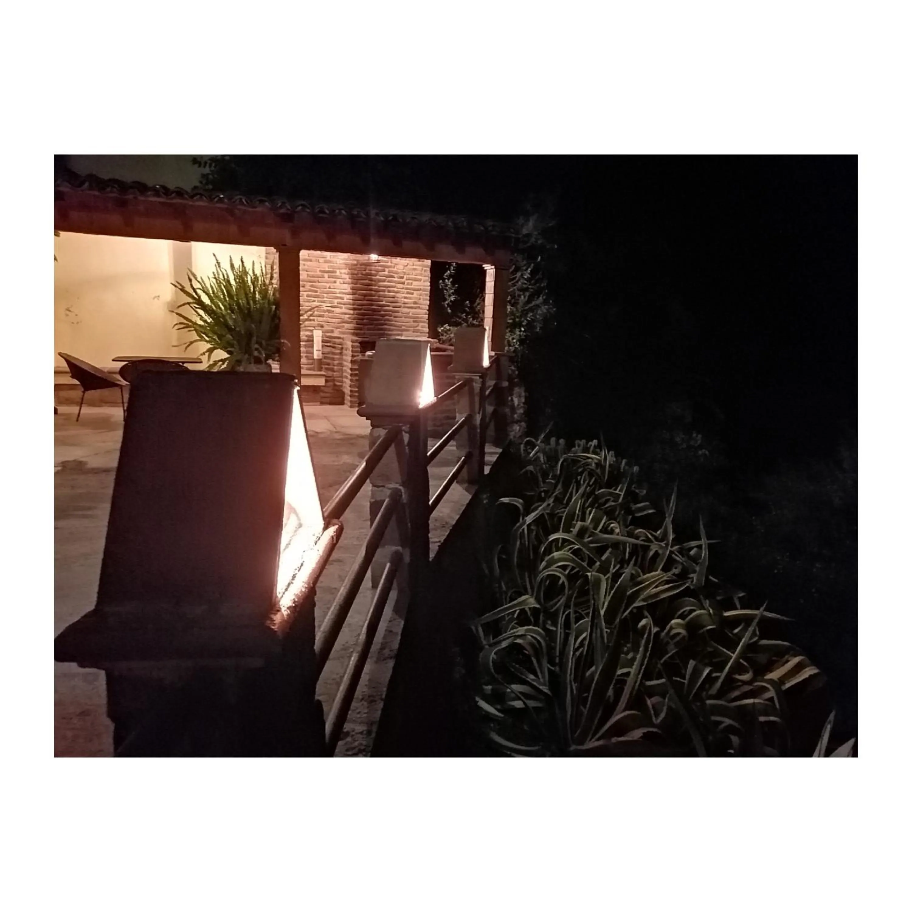 Hotel Casa del Arbol