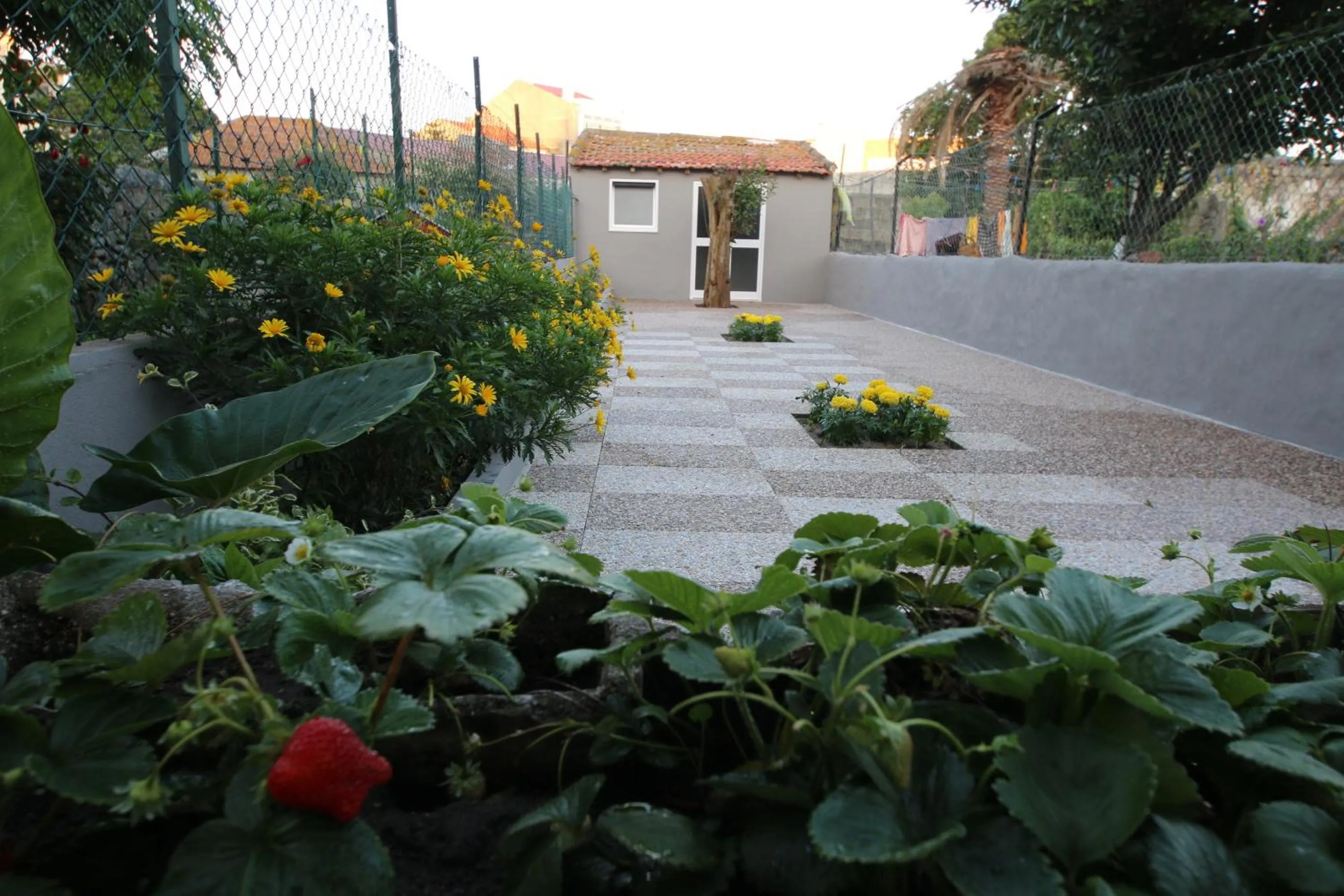 Garden in Povoa do Mar