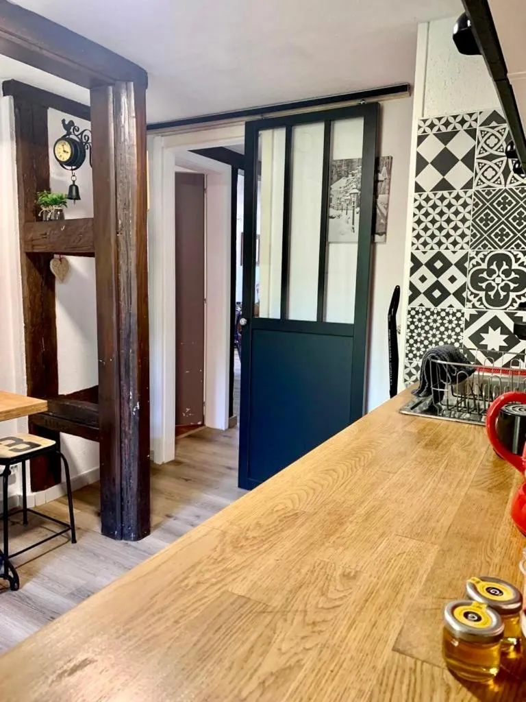 Kitchen or kitchenette in Appartement de caractère au calme 15 mins quartier historique, Gîte du Merlenchanteur