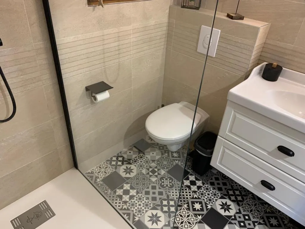 Shower in Appartement de caractère au calme 15 mins quartier historique, Gîte du Merlenchanteur