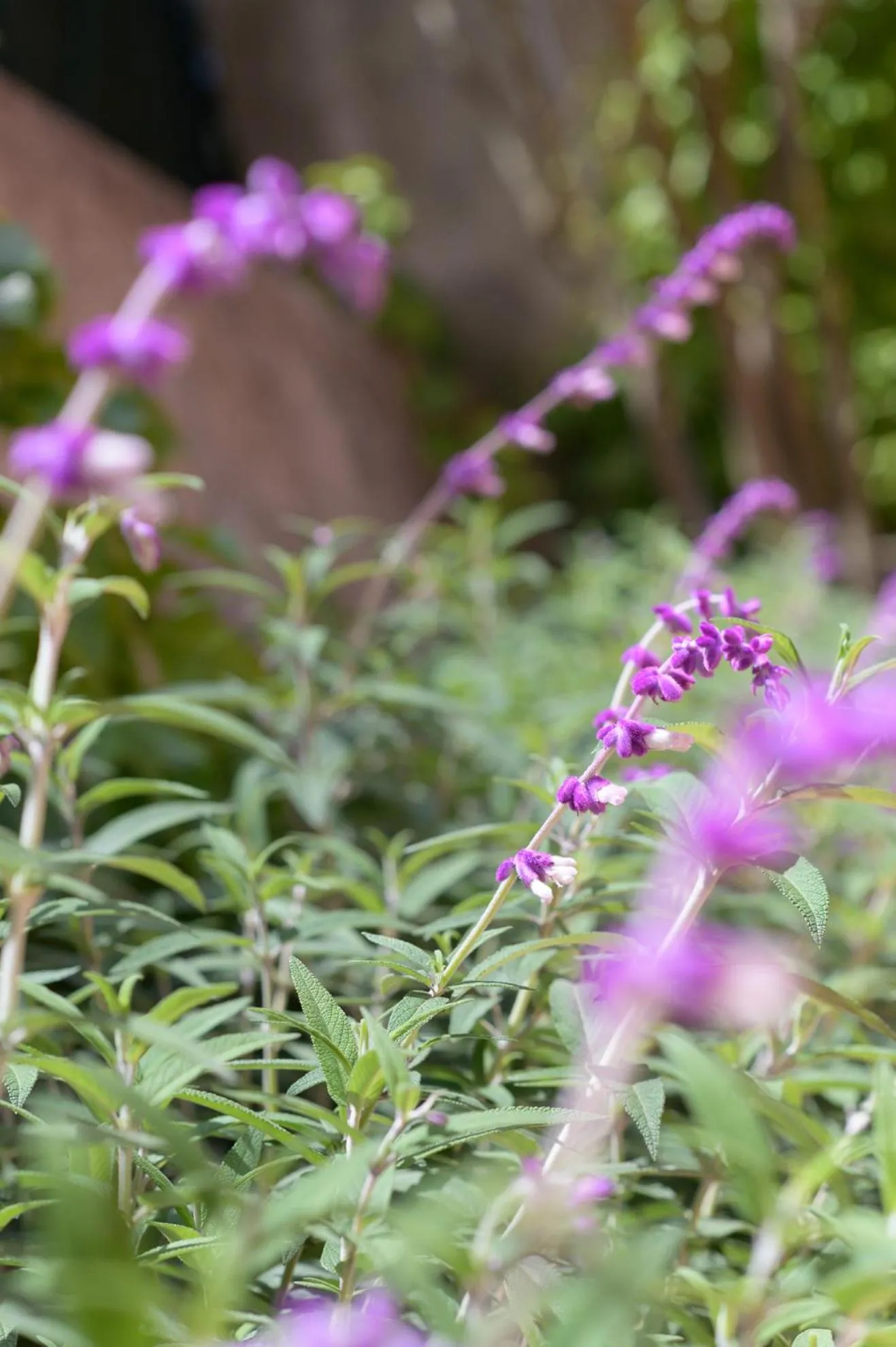Natural landscape in B&B Mediterraneo