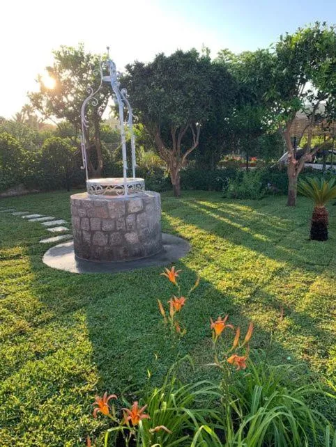 Garden in B&B Mediterraneo