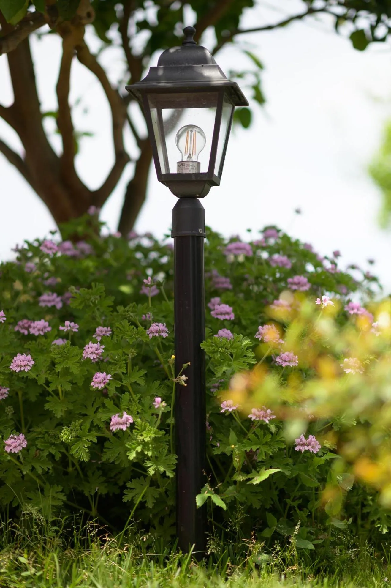 Garden in B&B Mediterraneo