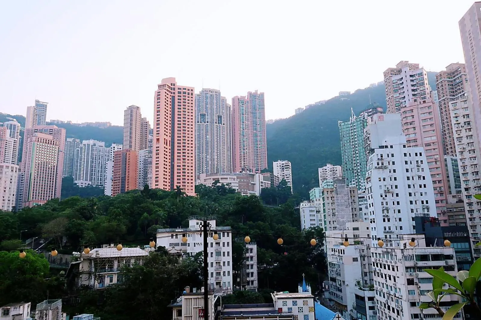 Garden in Mini Central