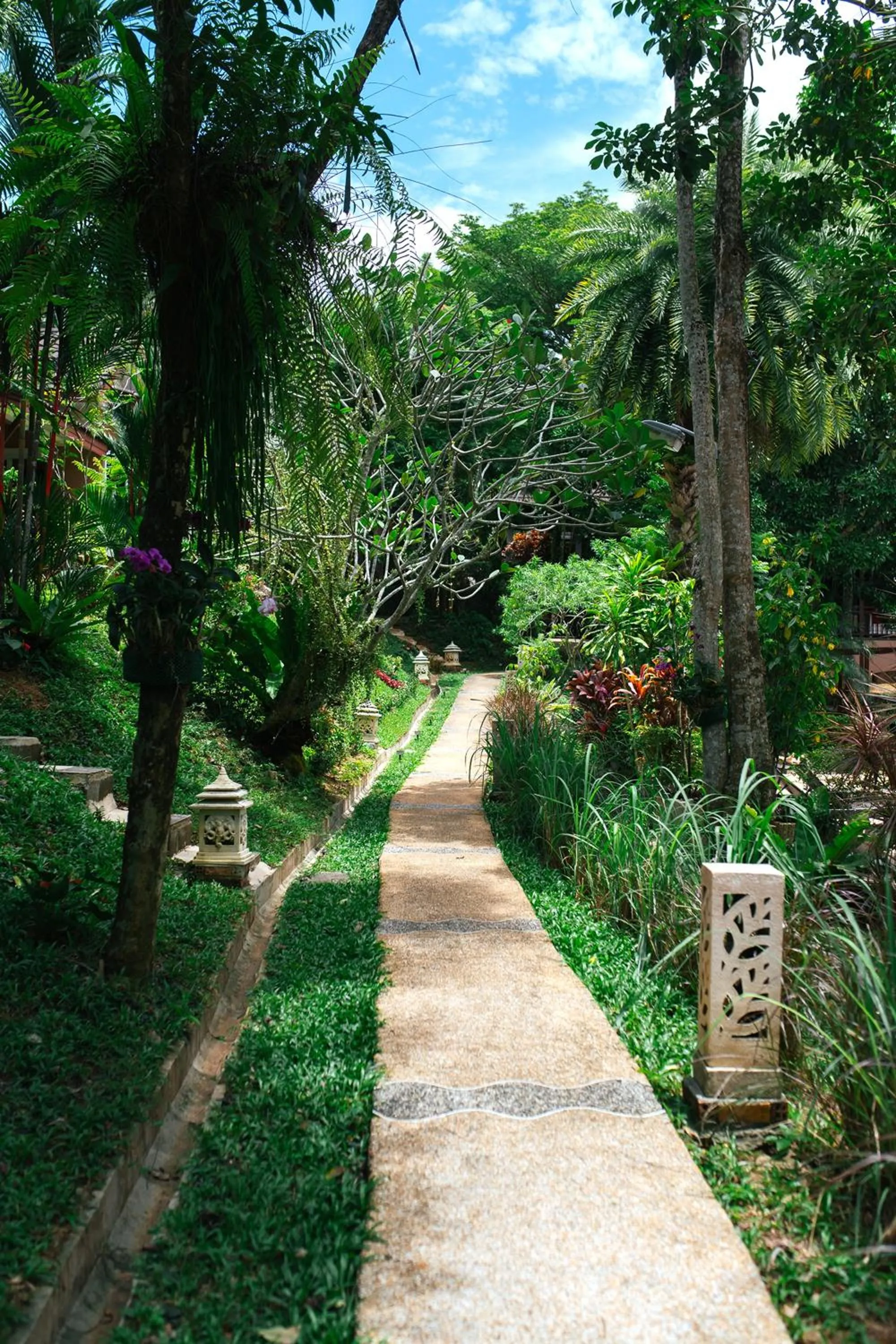 Garden view in Thai Modern Resort & Spa "Newly Renovated"