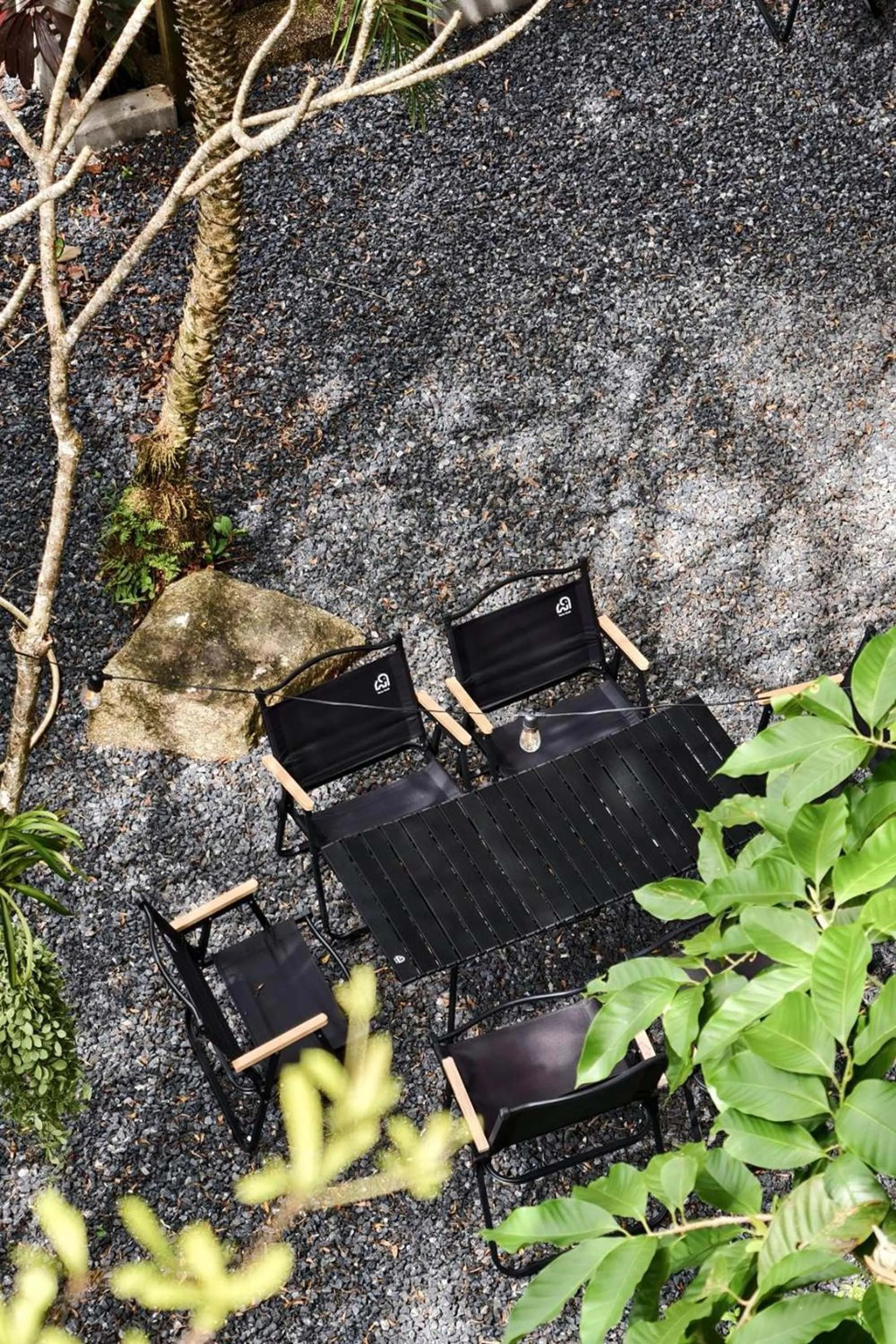 Area and facilities in Thai Modern Resort & Spa "Newly Renovated"