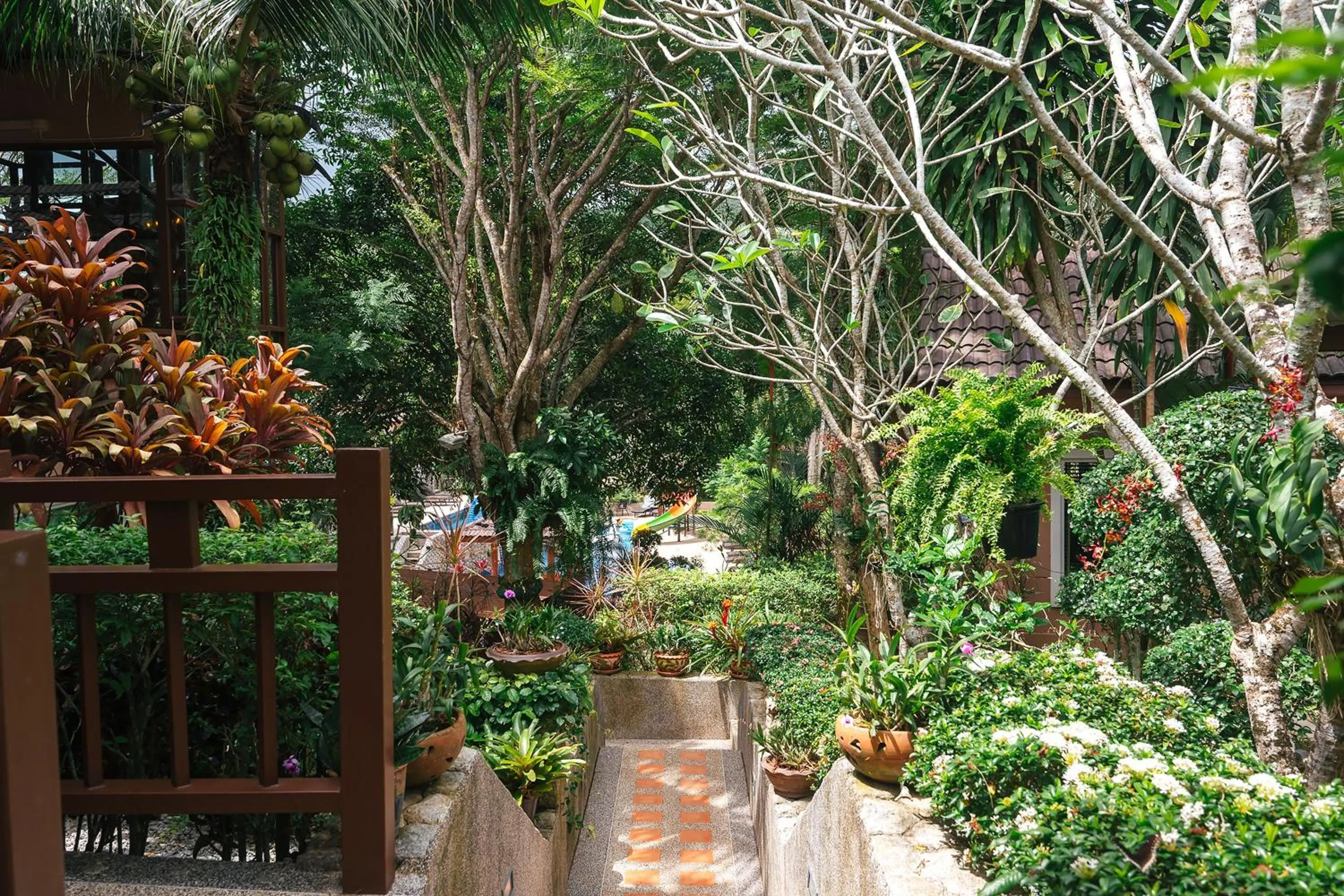 Area and facilities in Thai Modern Resort & Spa "Newly Renovated"