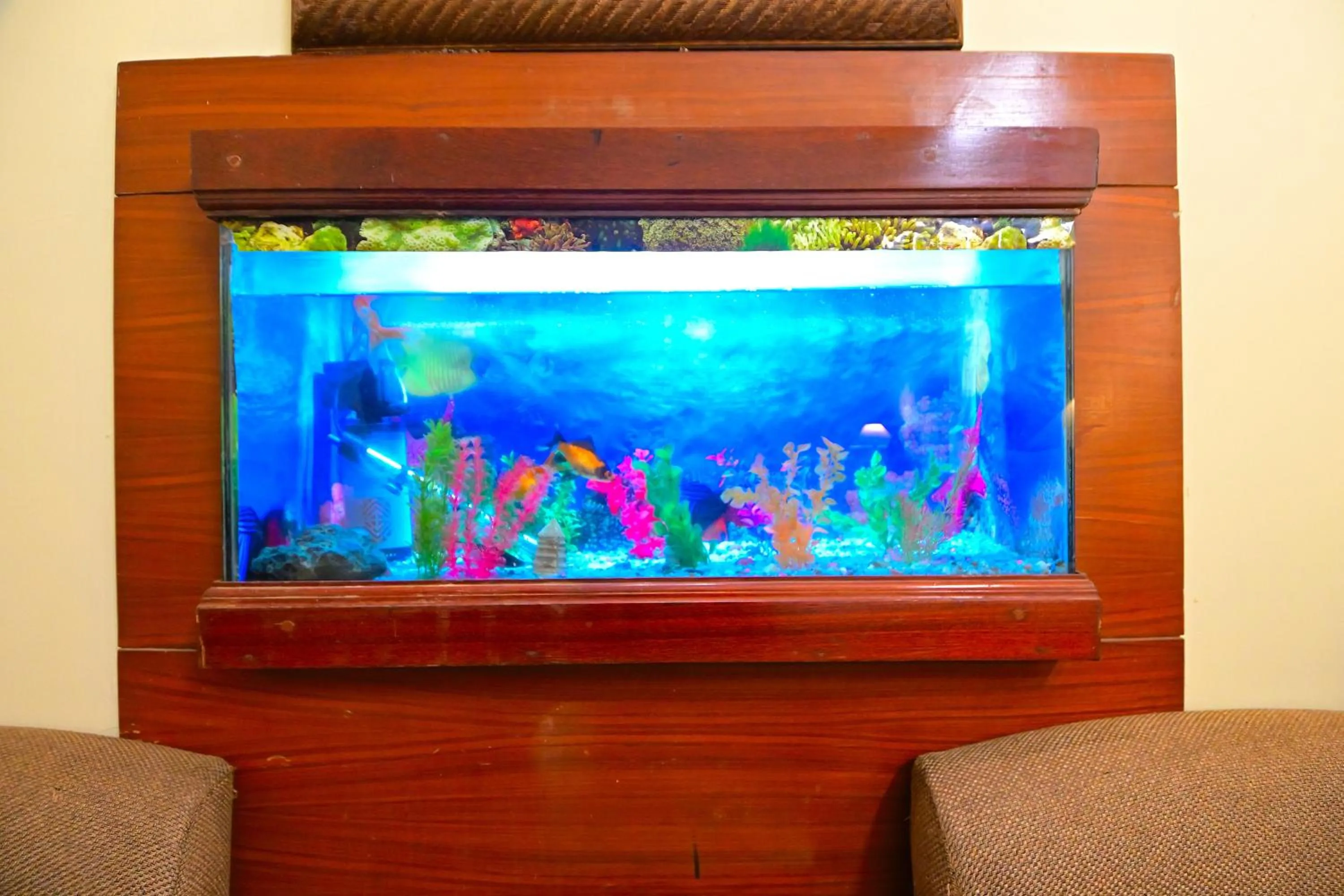 Property building in Hotel Hari Piorko - New Delhi Railway Station